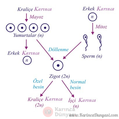 1620133055704.png