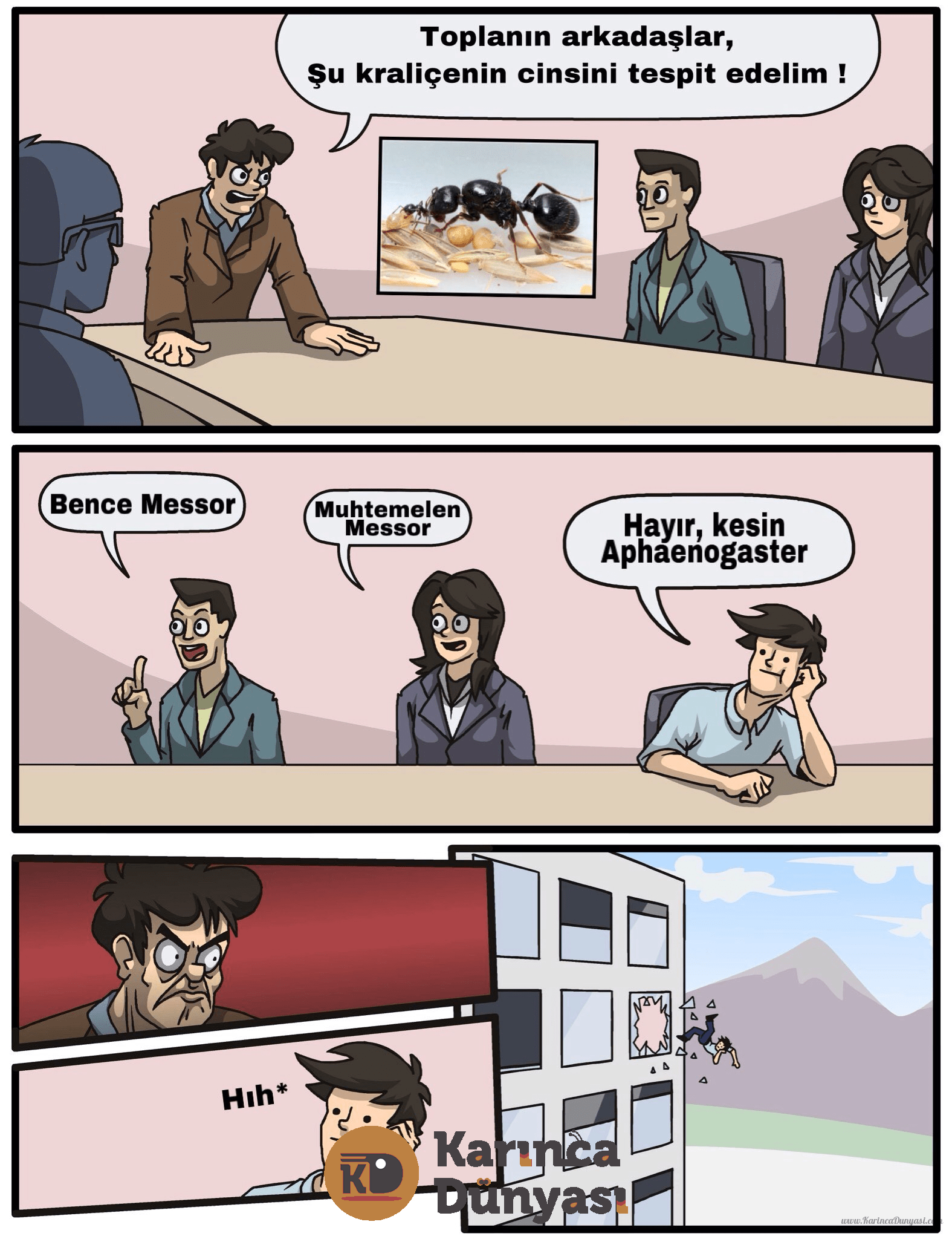 1629357713750.png