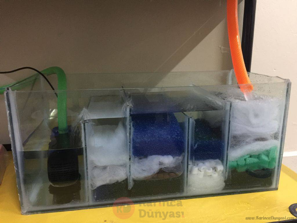 180720192016091.jpg