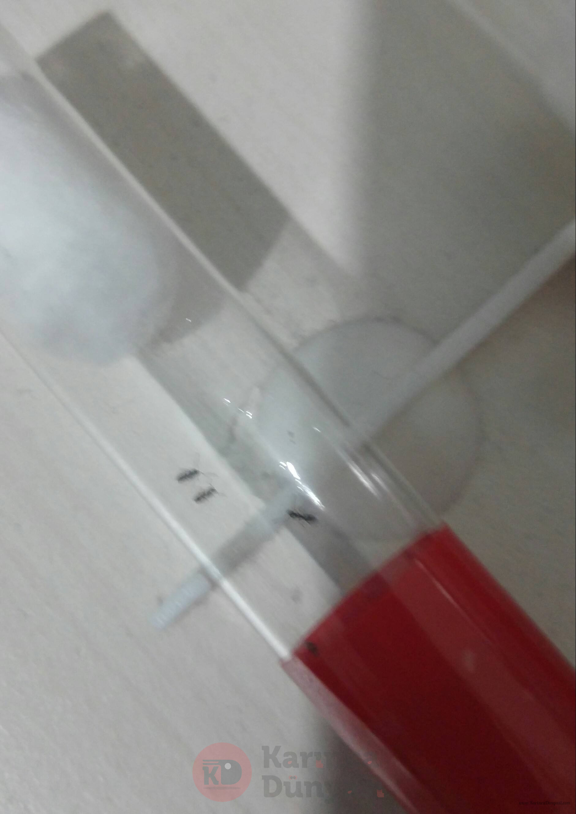 20200719_201358-1.jpg