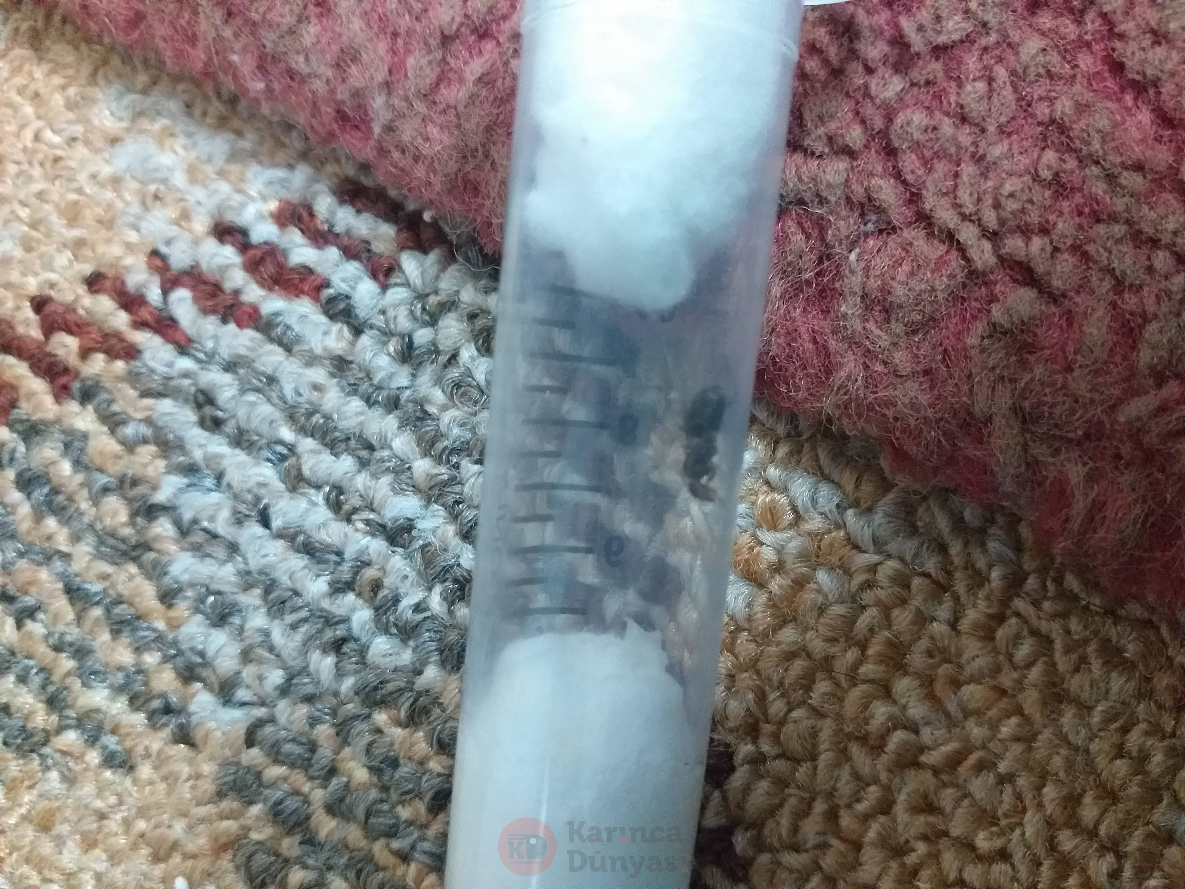 20200725_002034.jpg