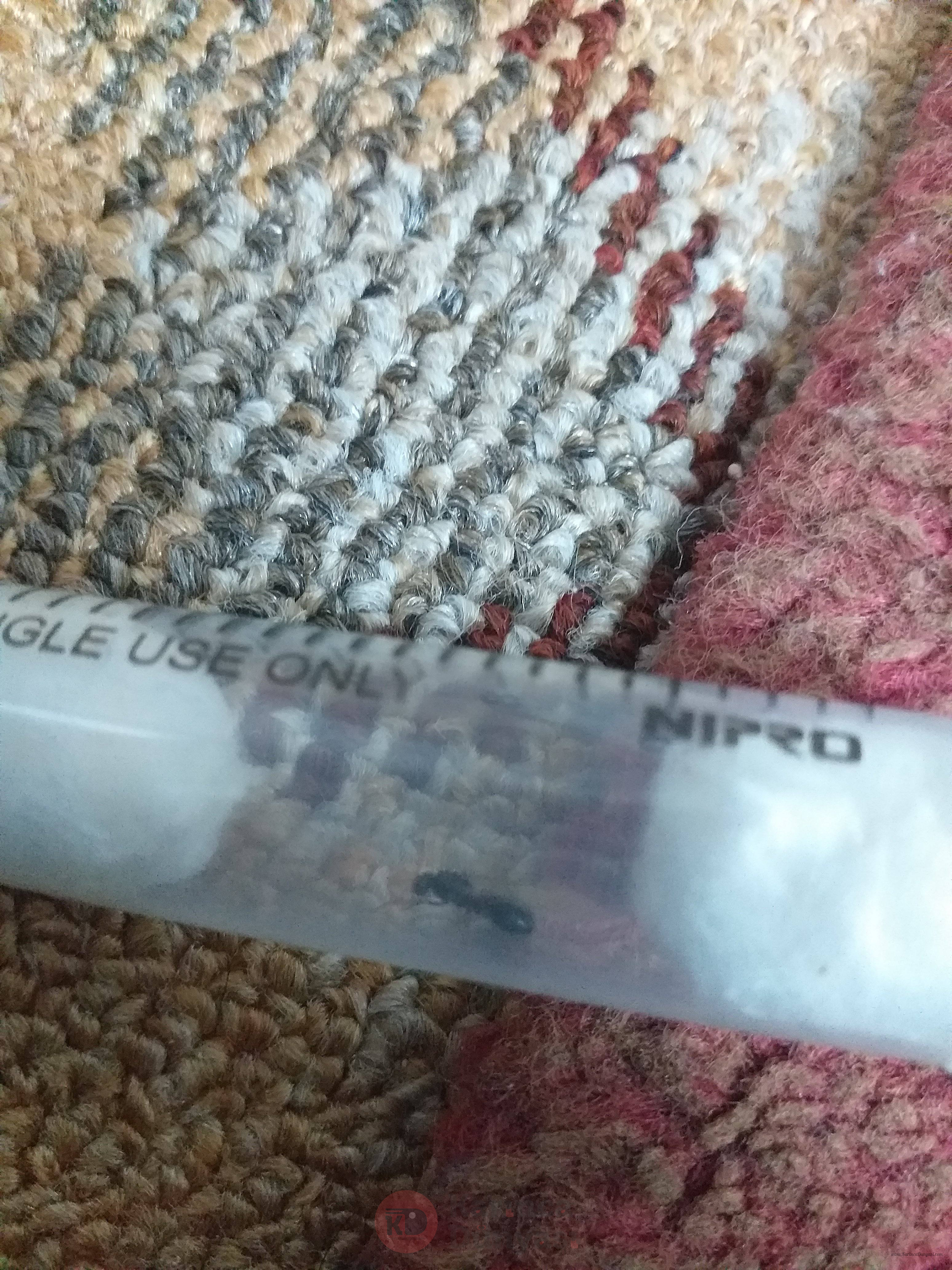 20200725_002046.jpg