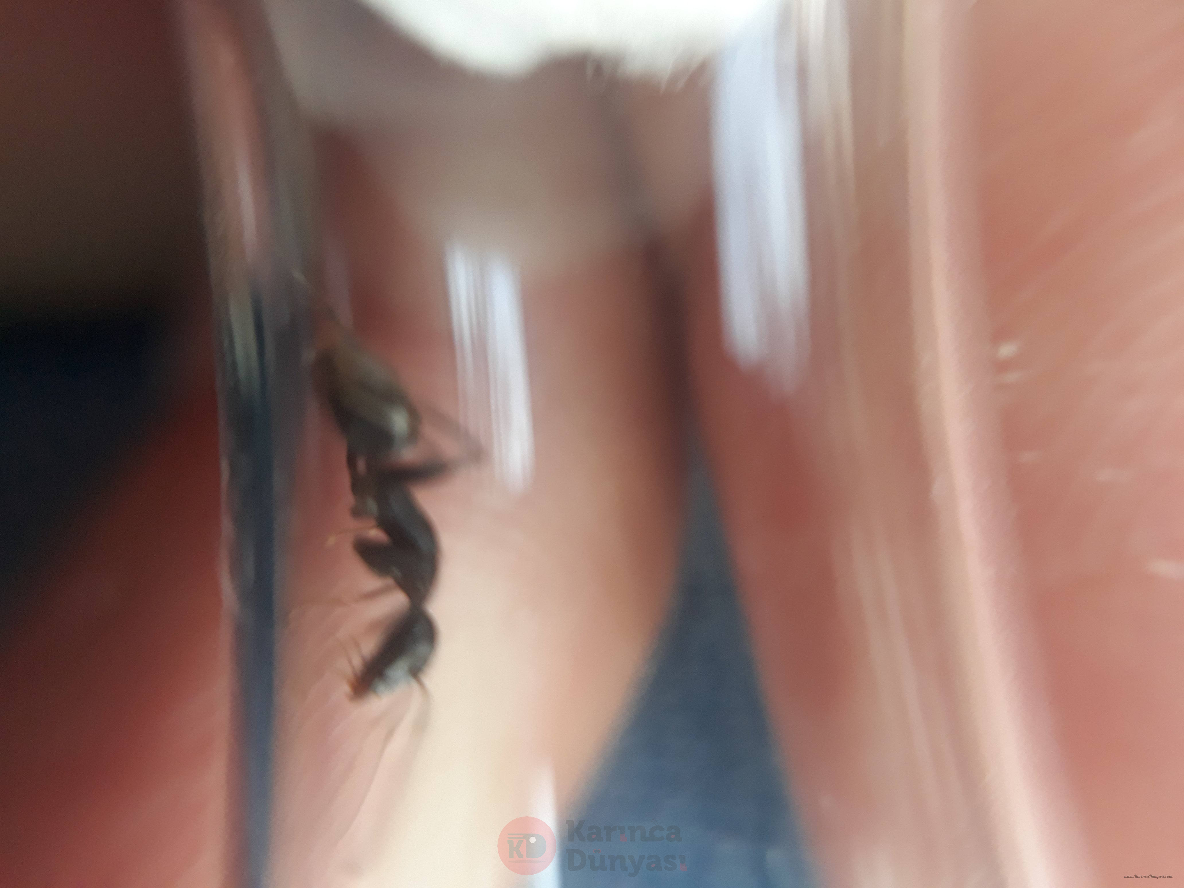 20200811_190145.jpg
