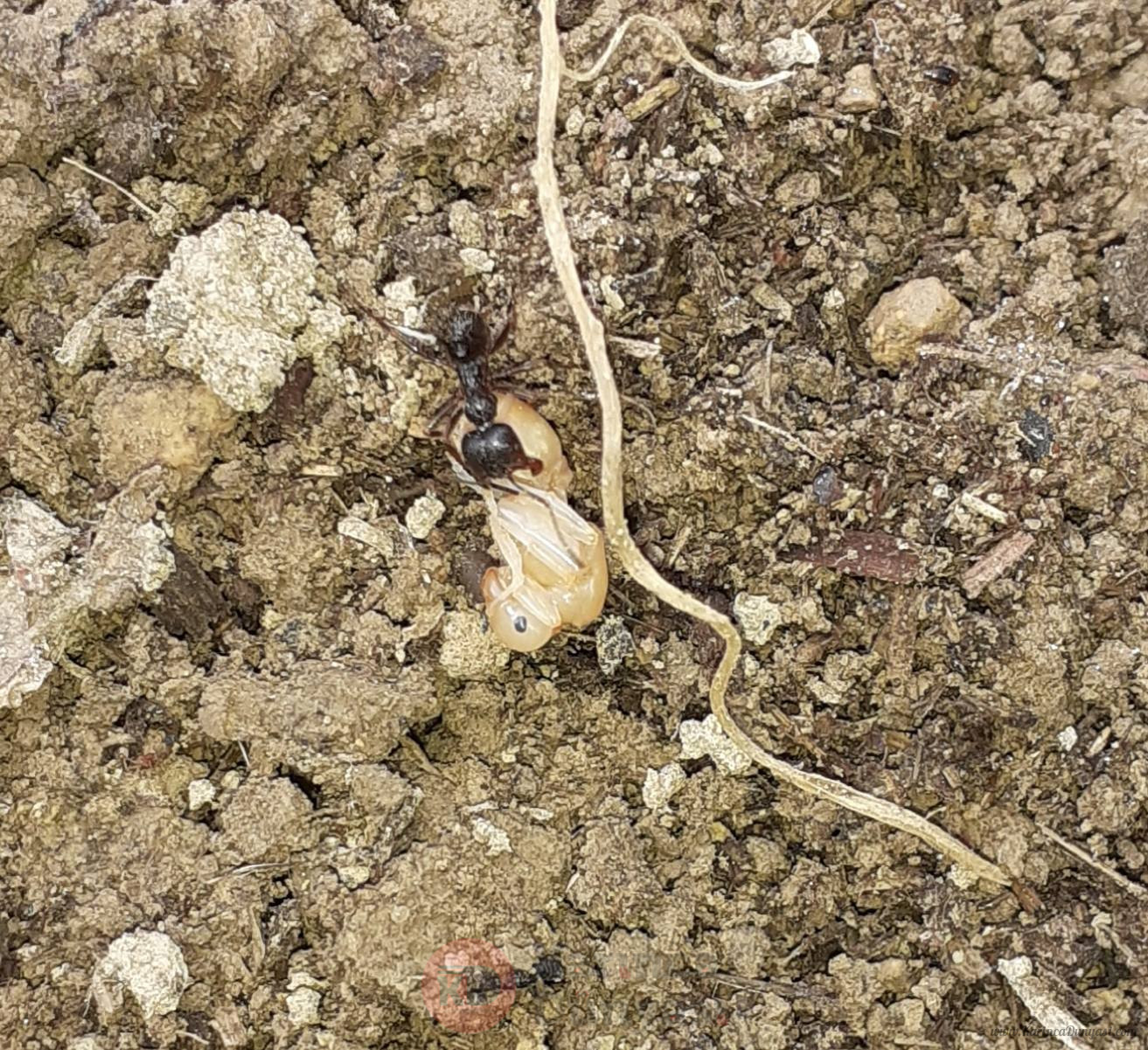 20200908_132410.jpg