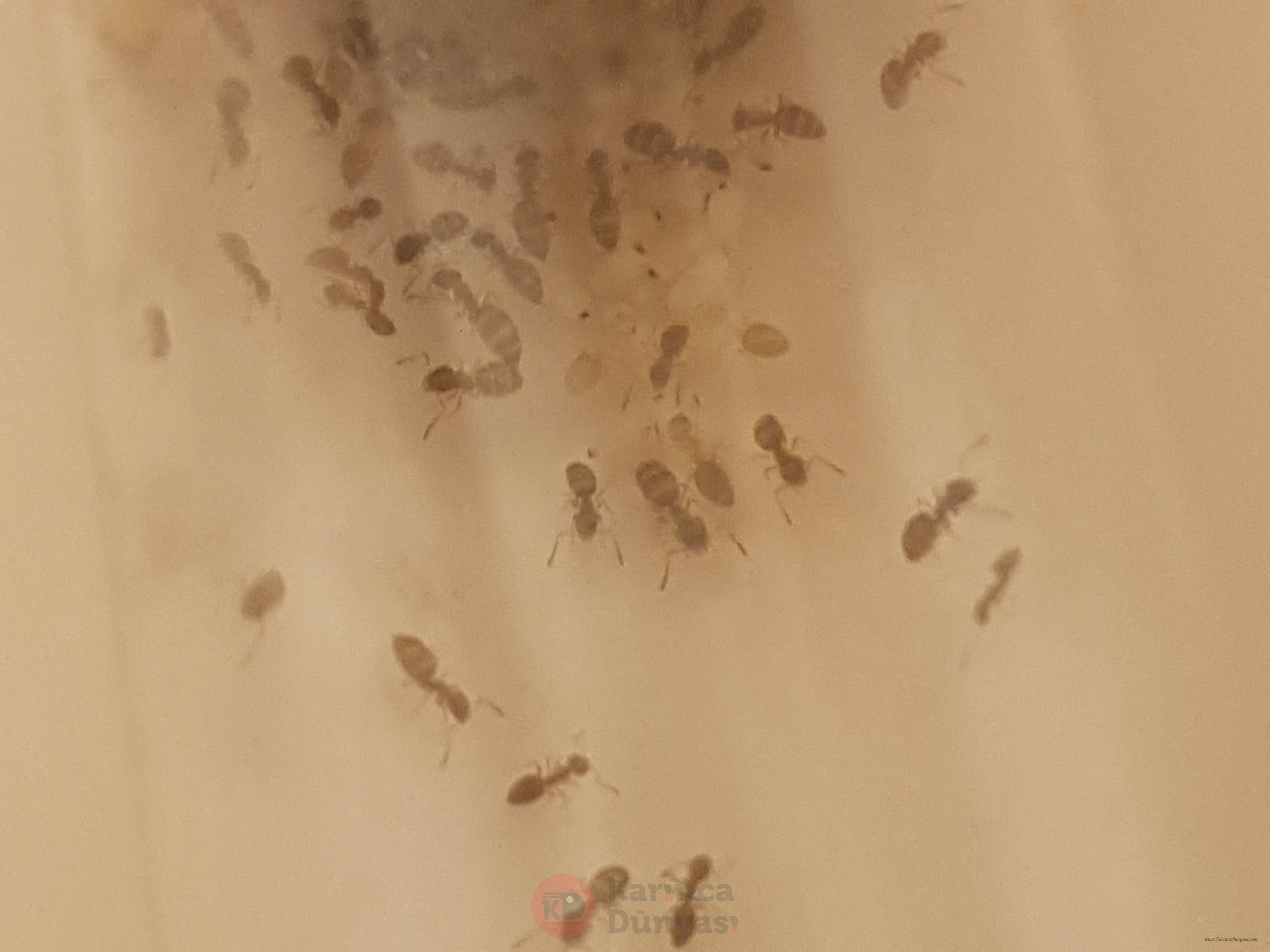 20200930_185207.jpg