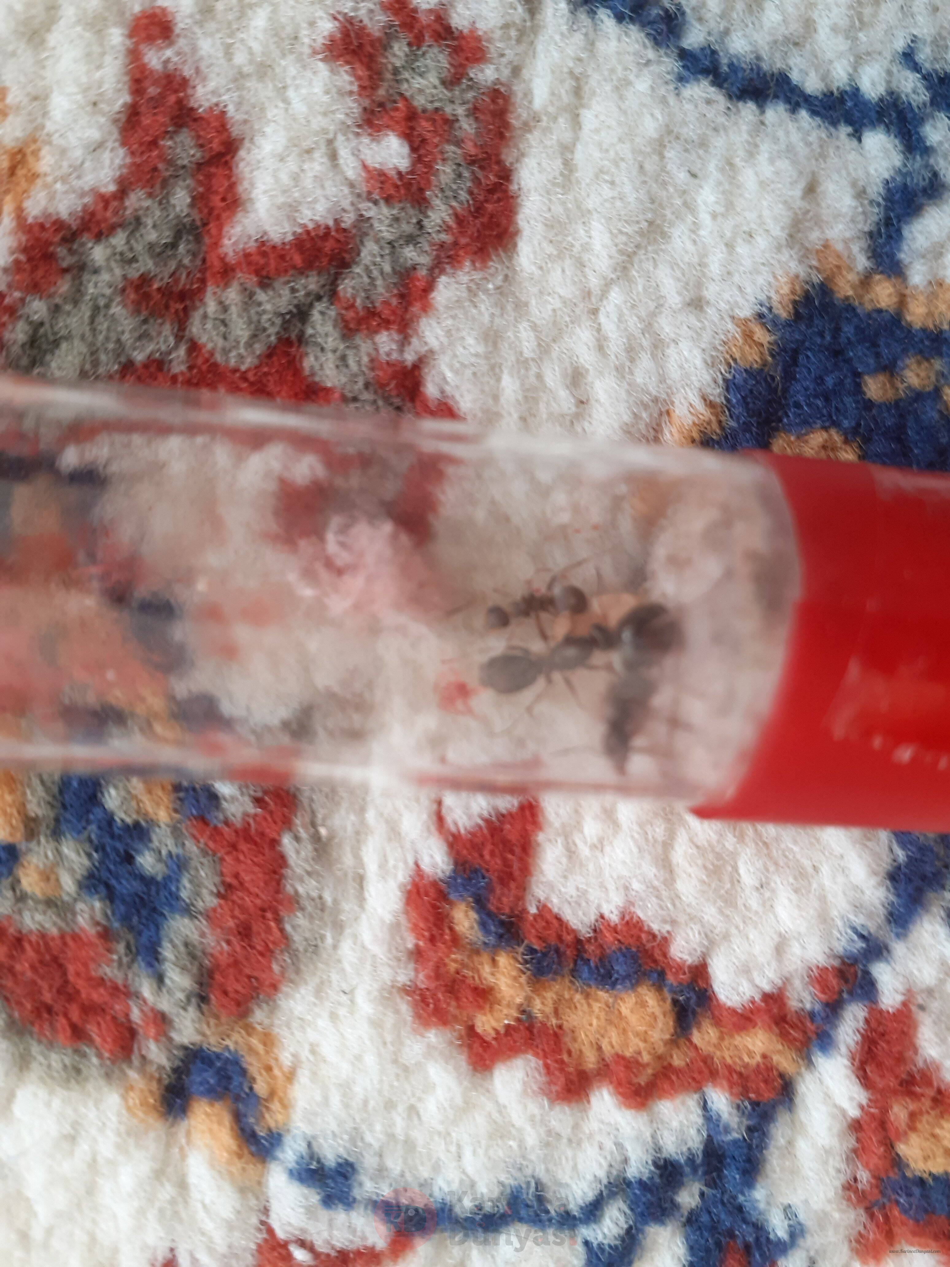 20201001_101901.jpg