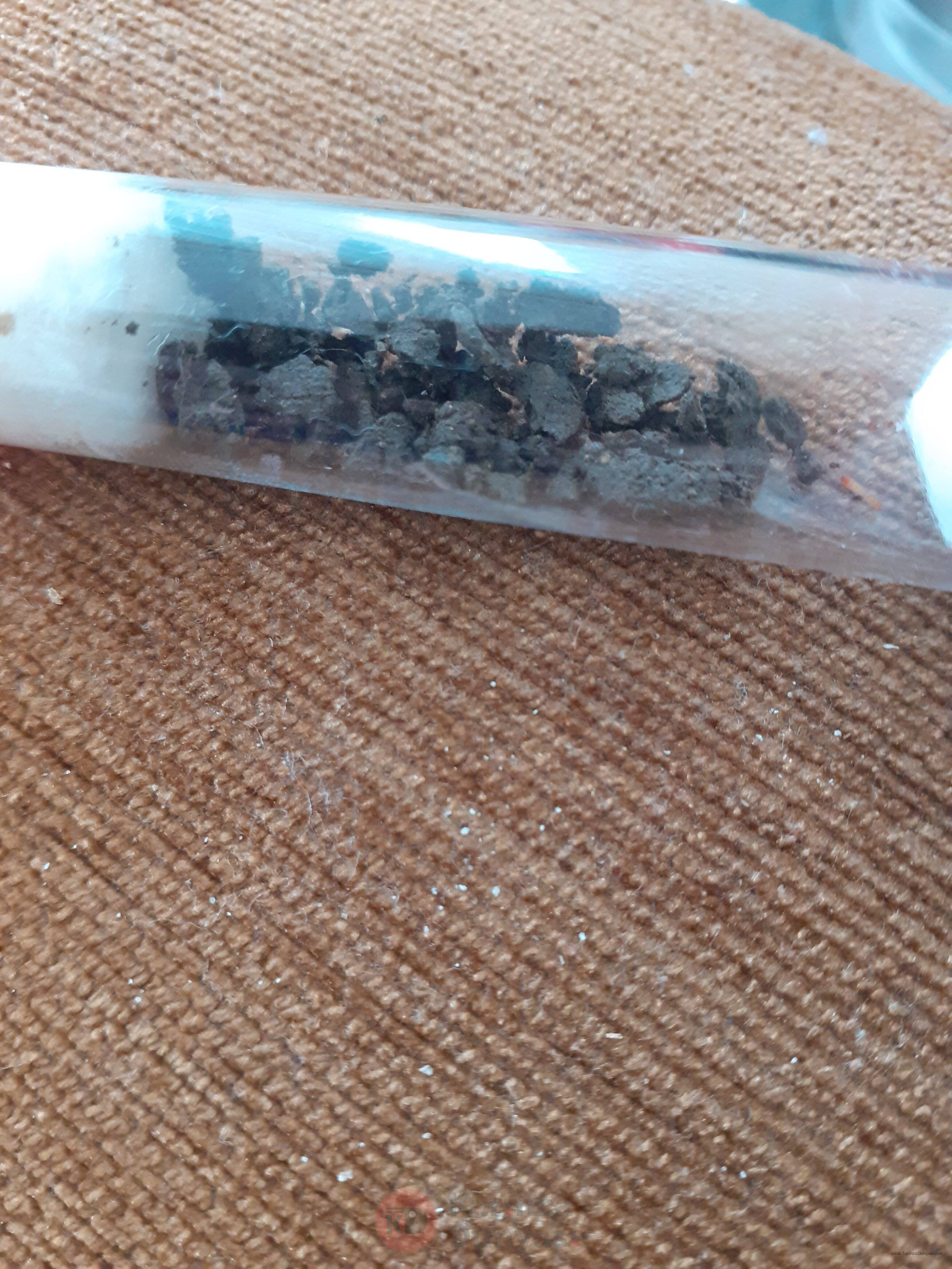 20201001_130405.jpg