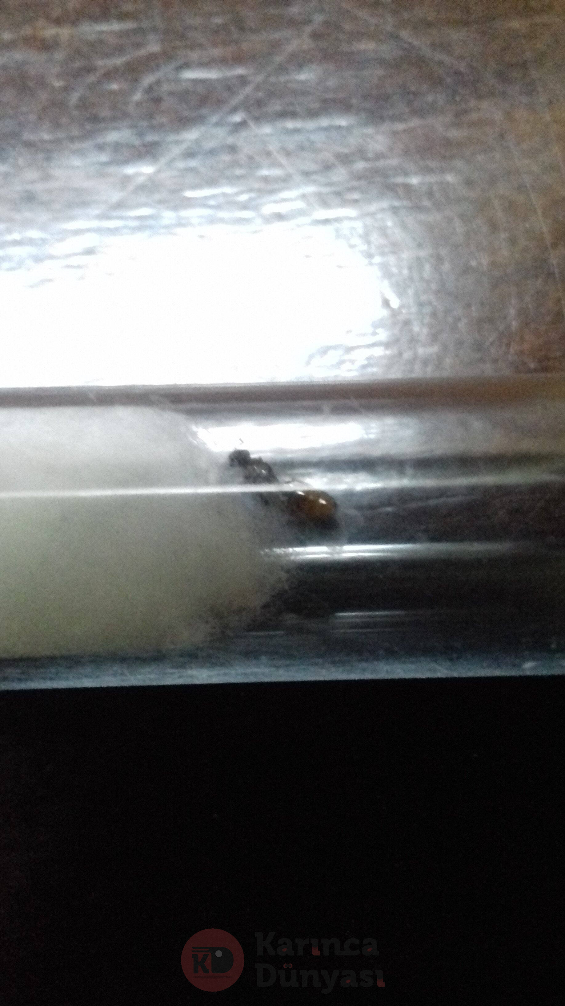20201013_232908.jpg