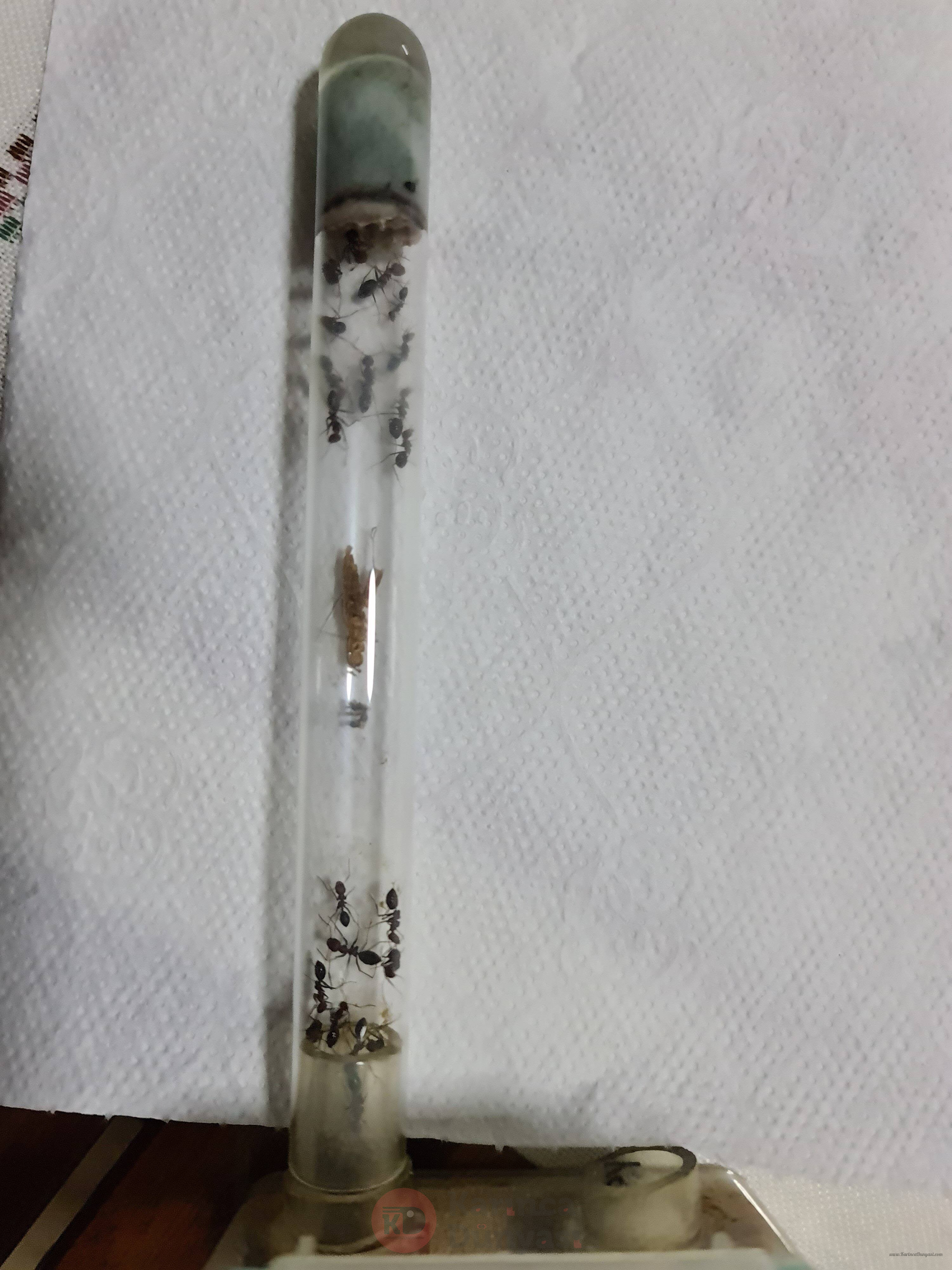 20201107_202157.jpg