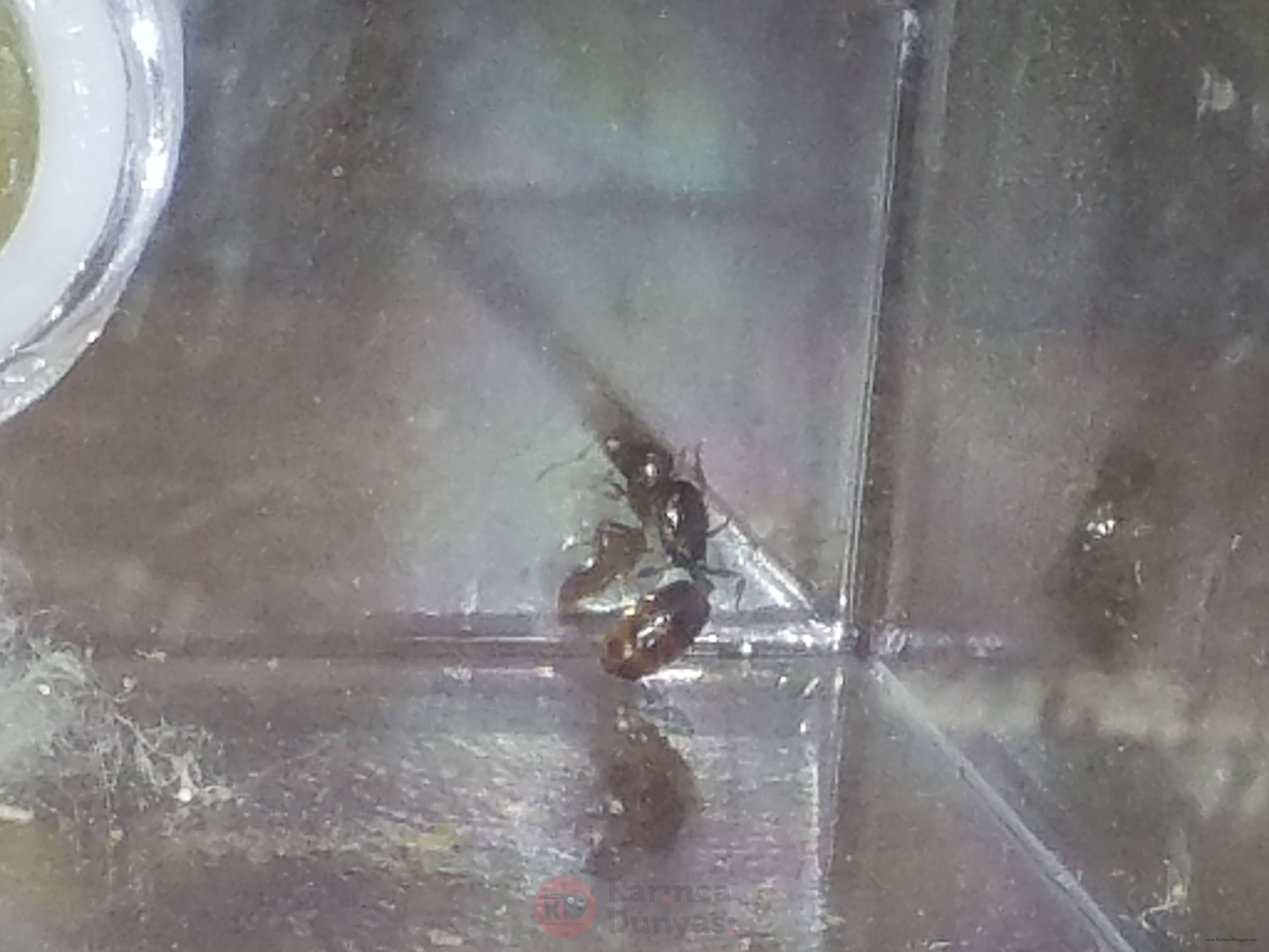 20210620_140403.jpg