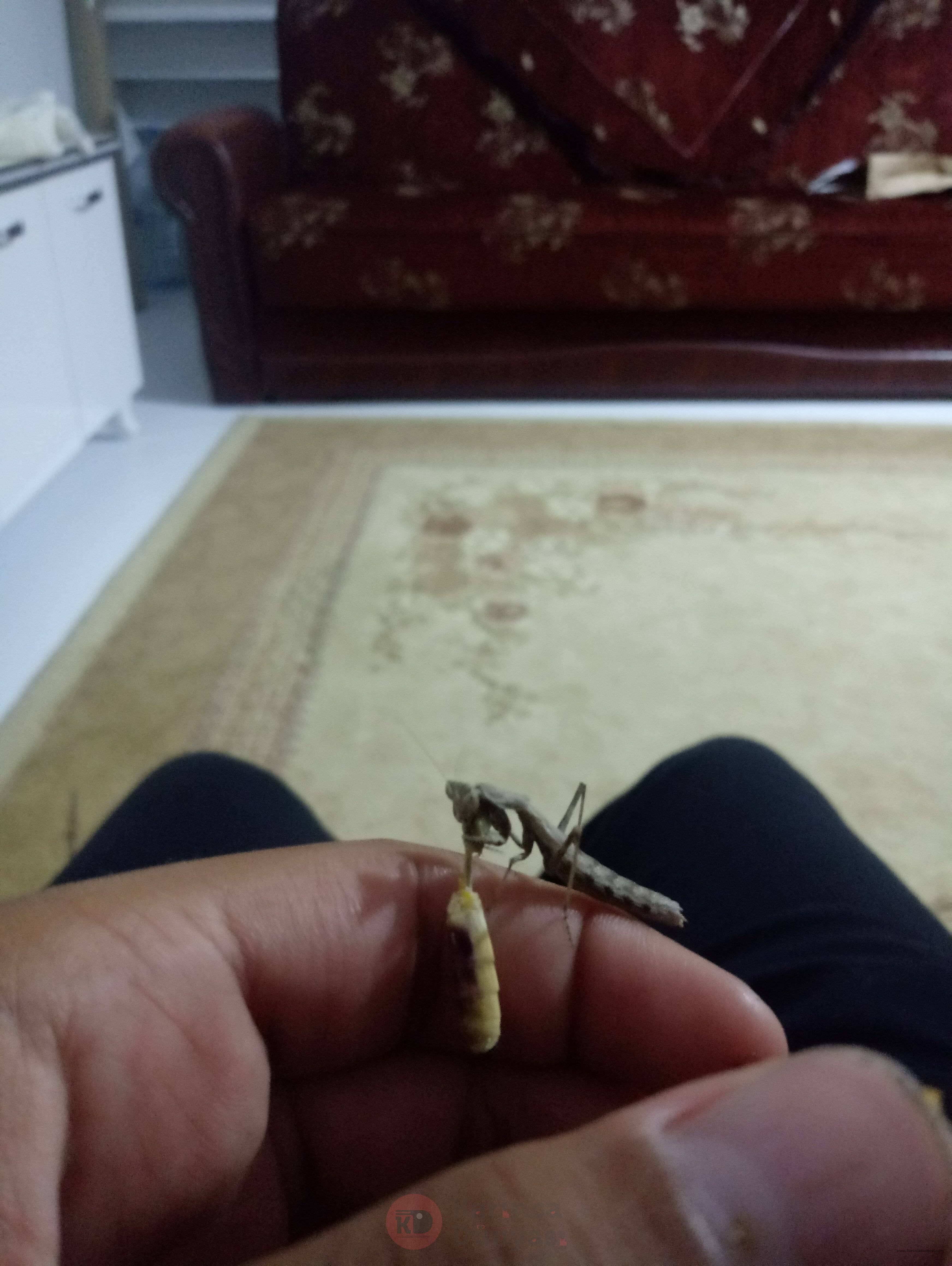20210826_202955.jpg