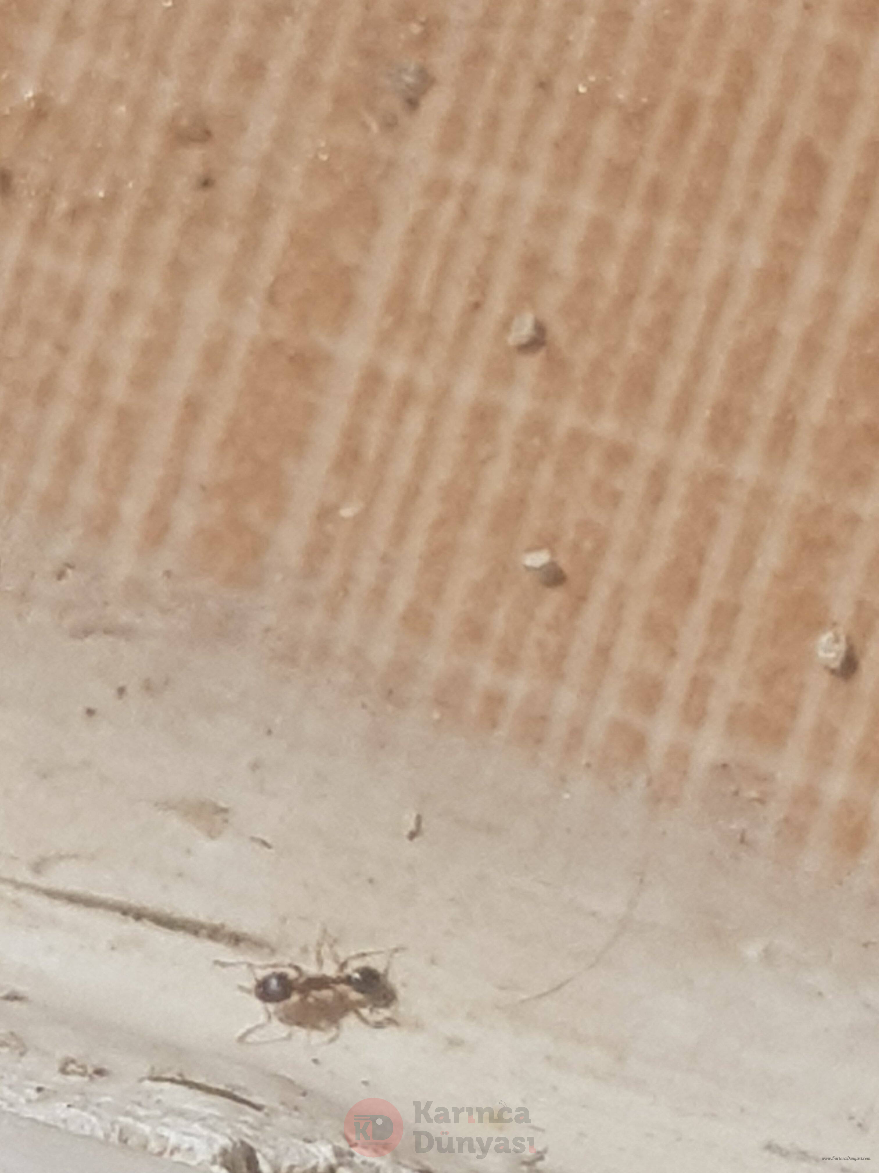 20210912_102037.jpg