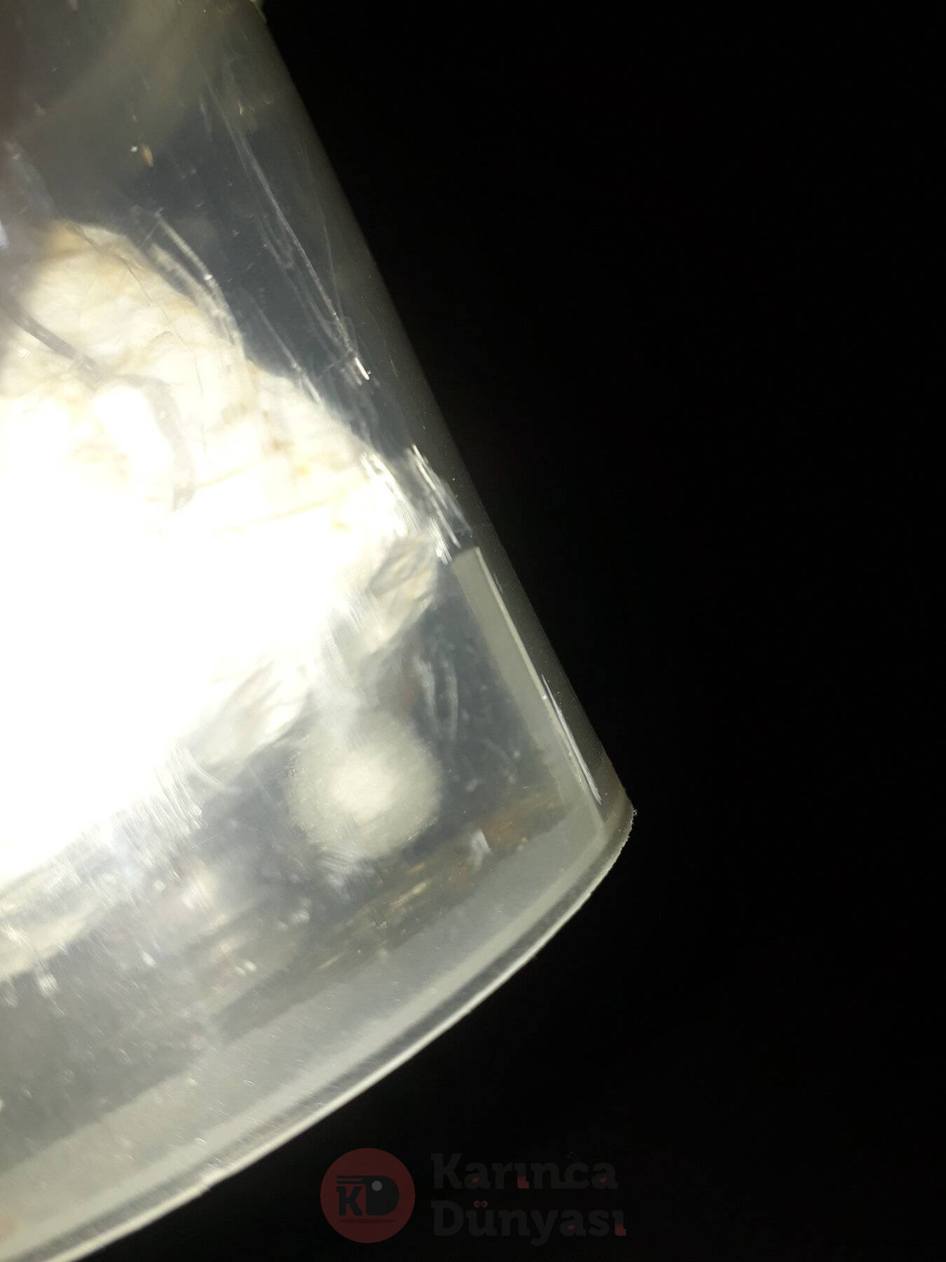 20220306_075505.jpg