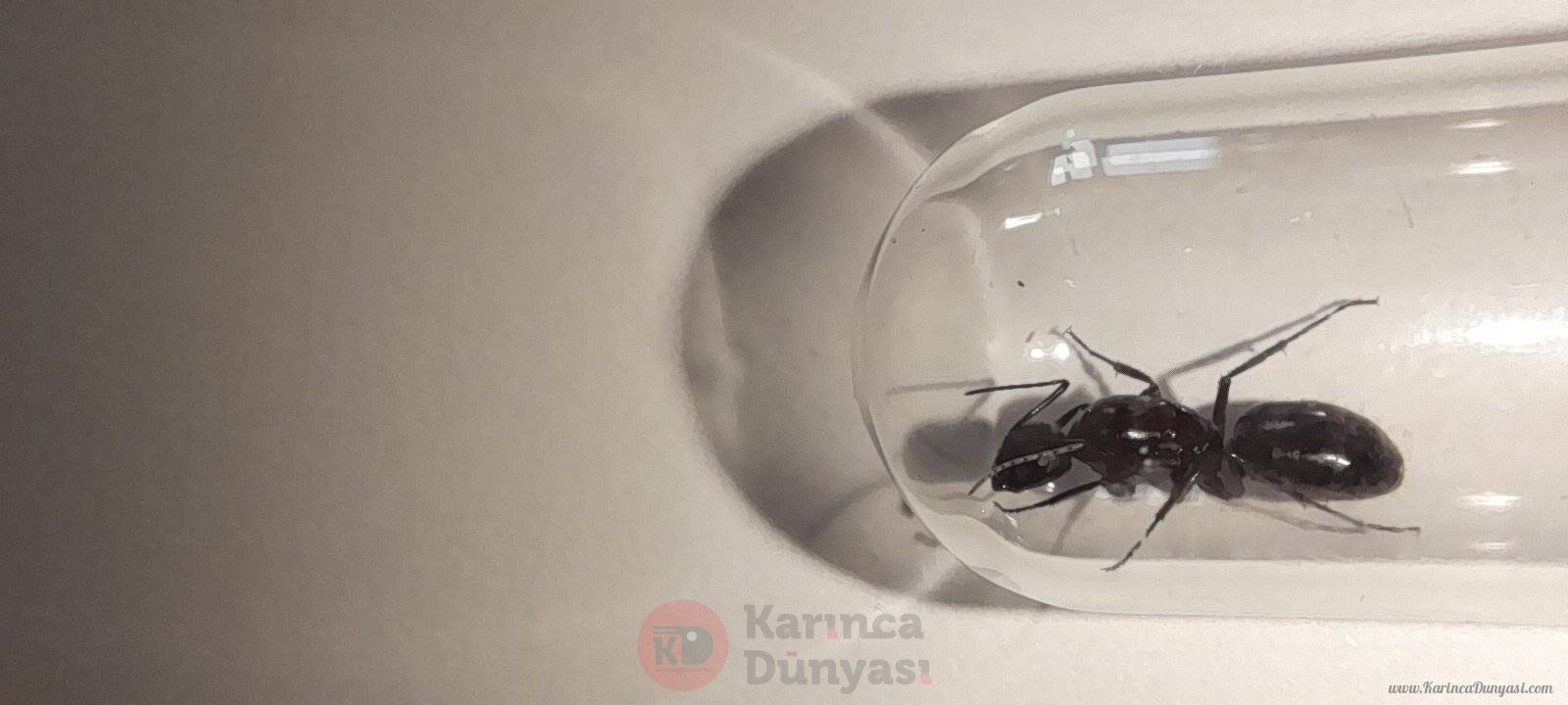 20220330_093000.jpg