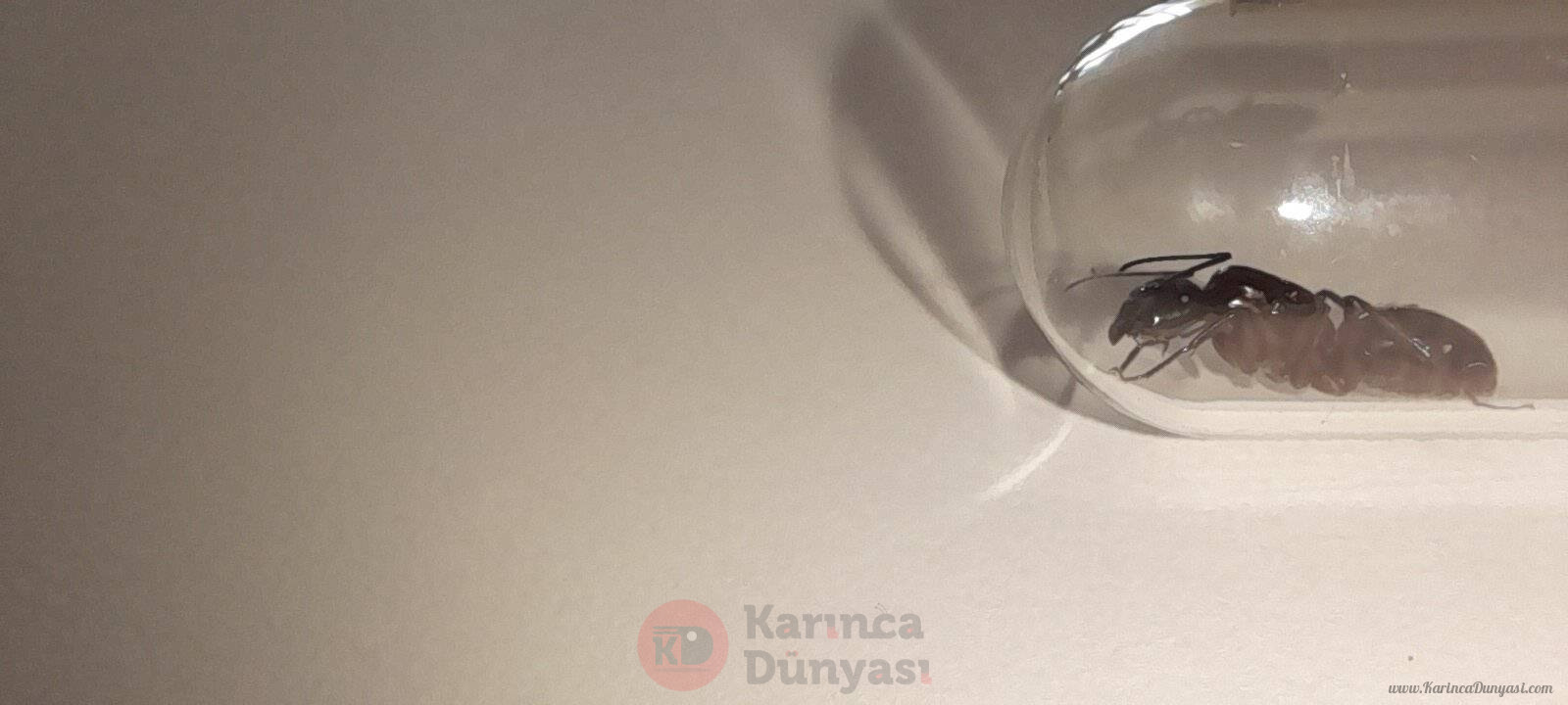 20220330_093006.jpg