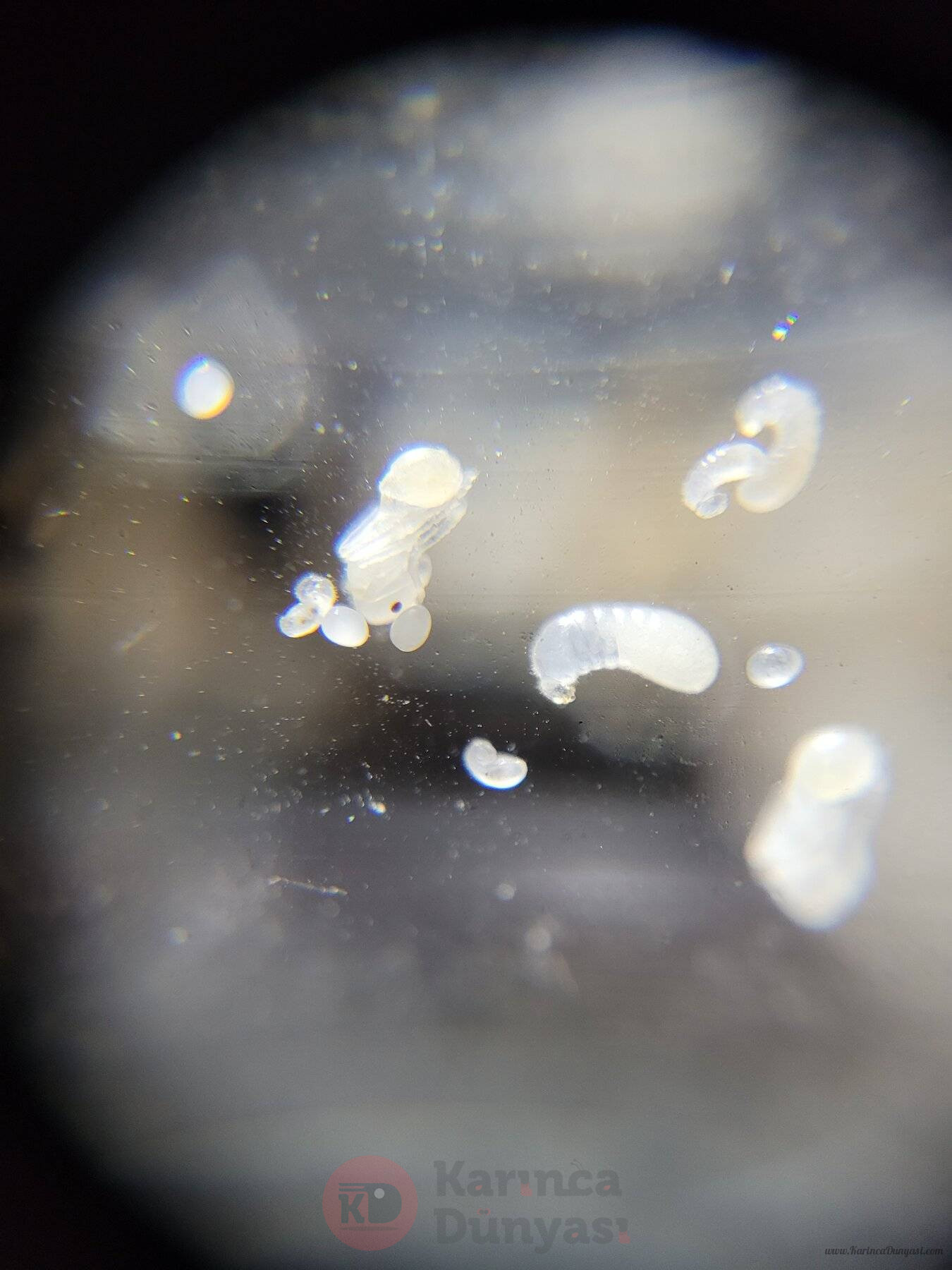 20220516_002055.jpg