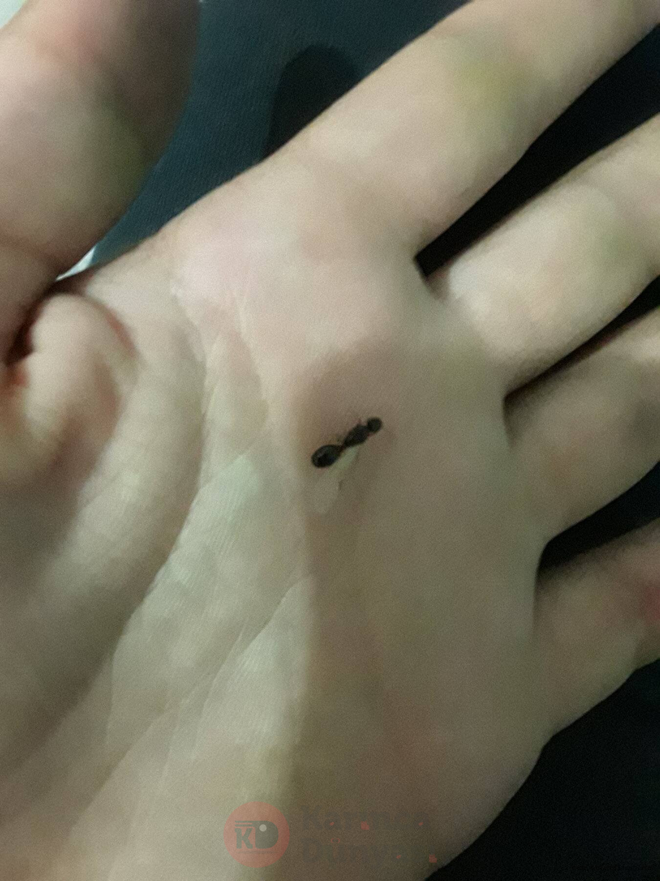 20220826_002223.jpg