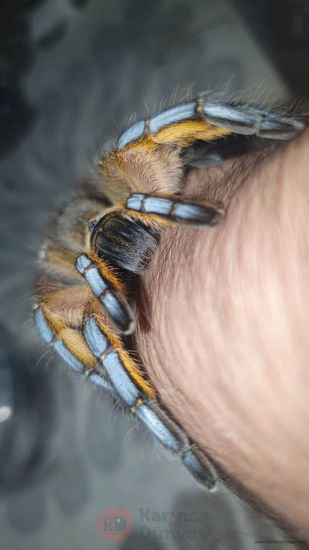 20221116_201856.jpg