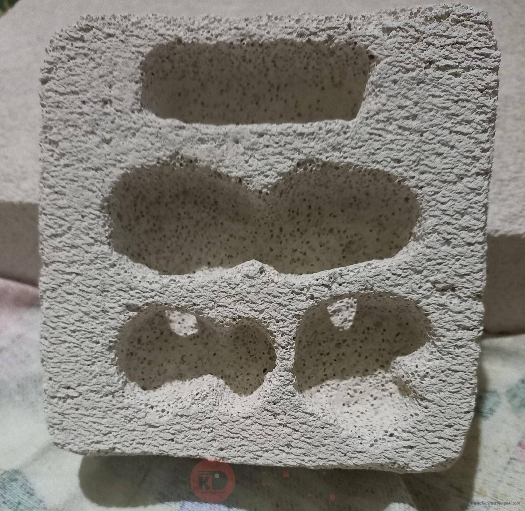 20240919_192206.jpg