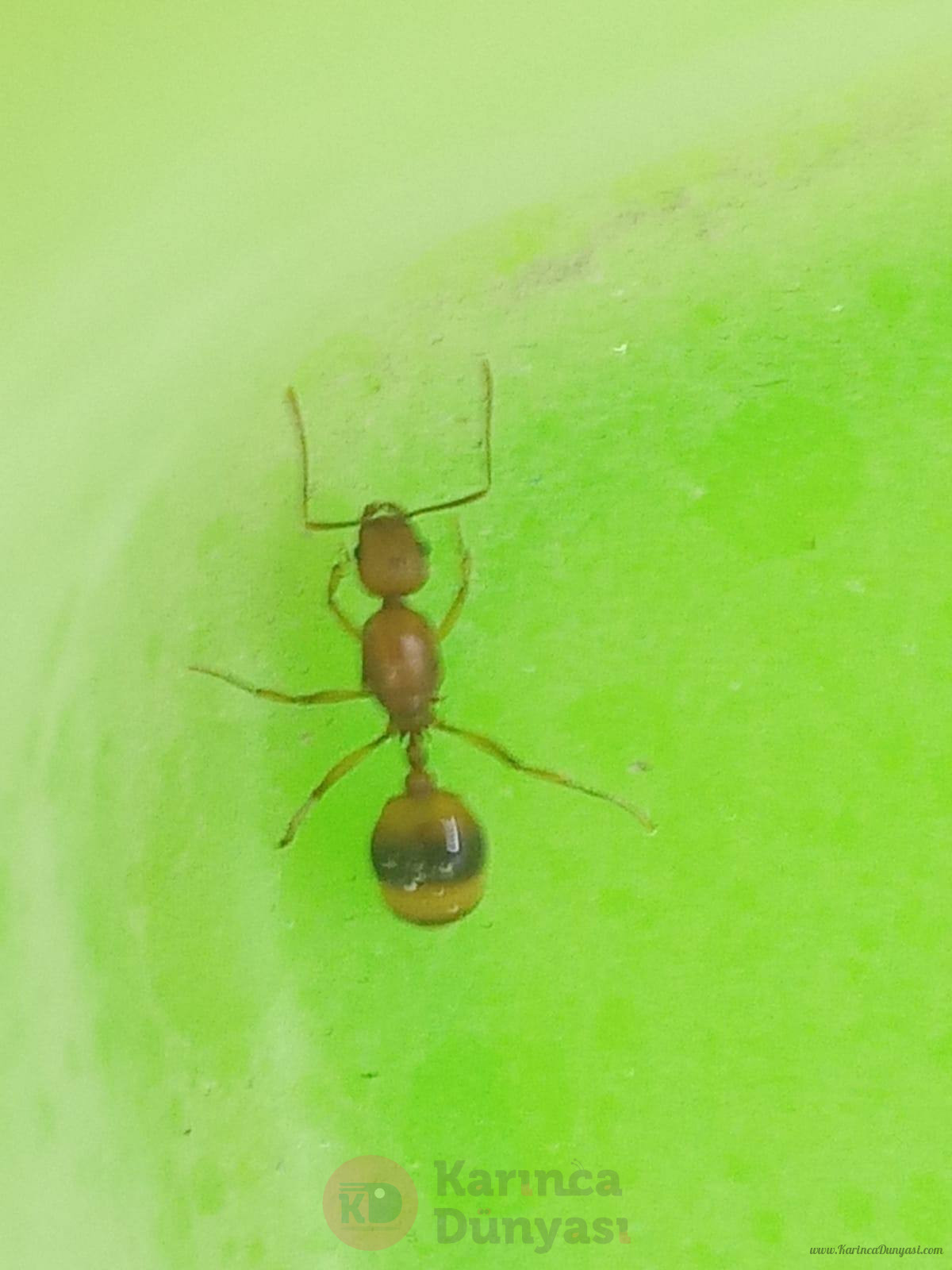 2305e0d1-6e38-47b8-b1da-b939a979ce43.jpg