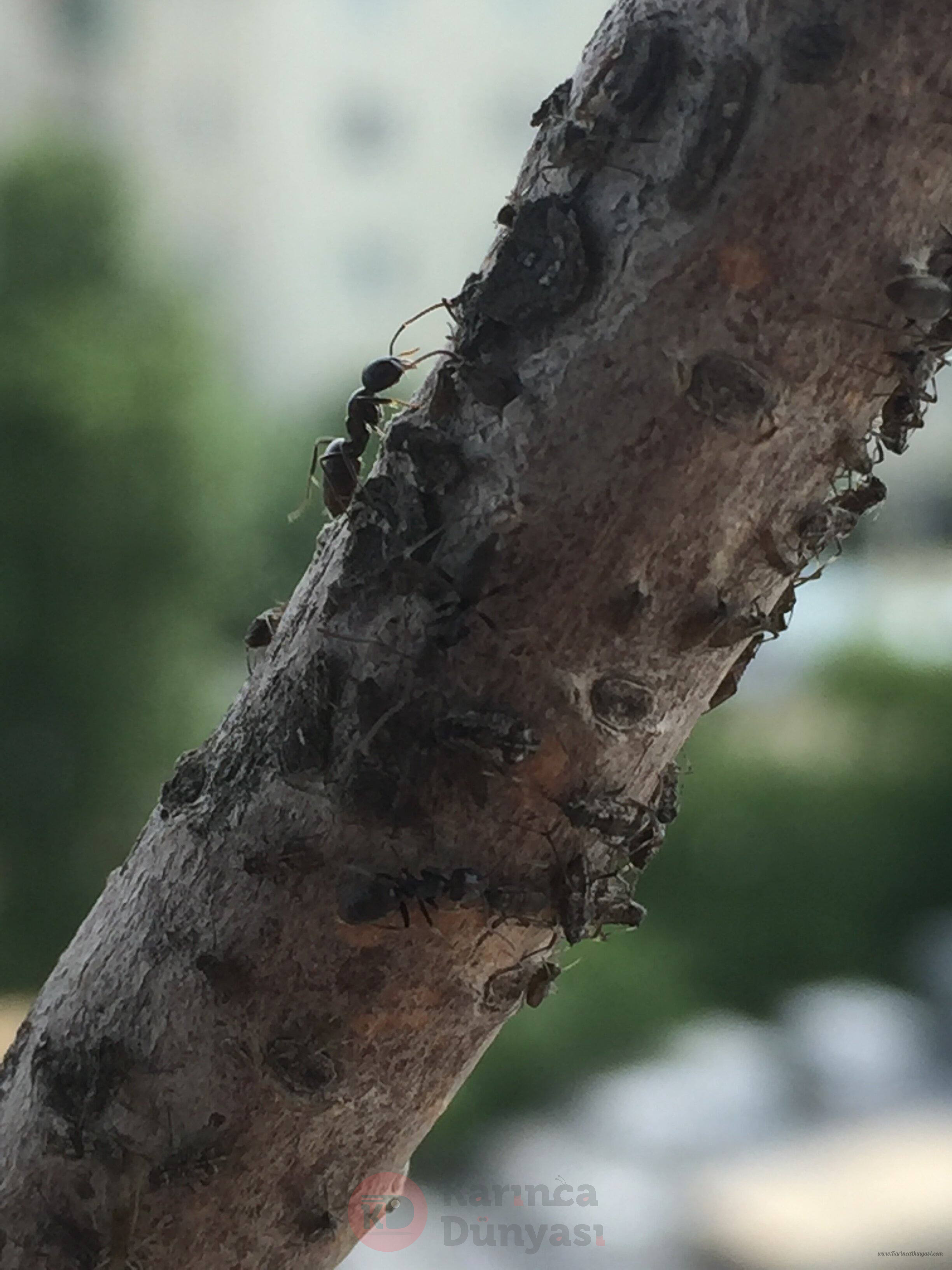 77E83BB7-2AB8-4A8C-975C-1745820F01E6.jpeg