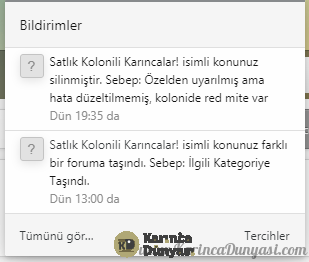 Adsız.png