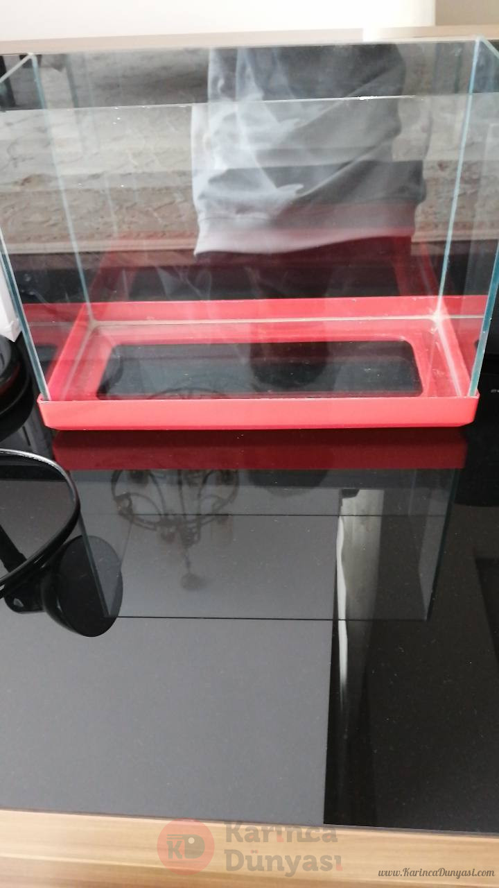akvaryum foto.jpg