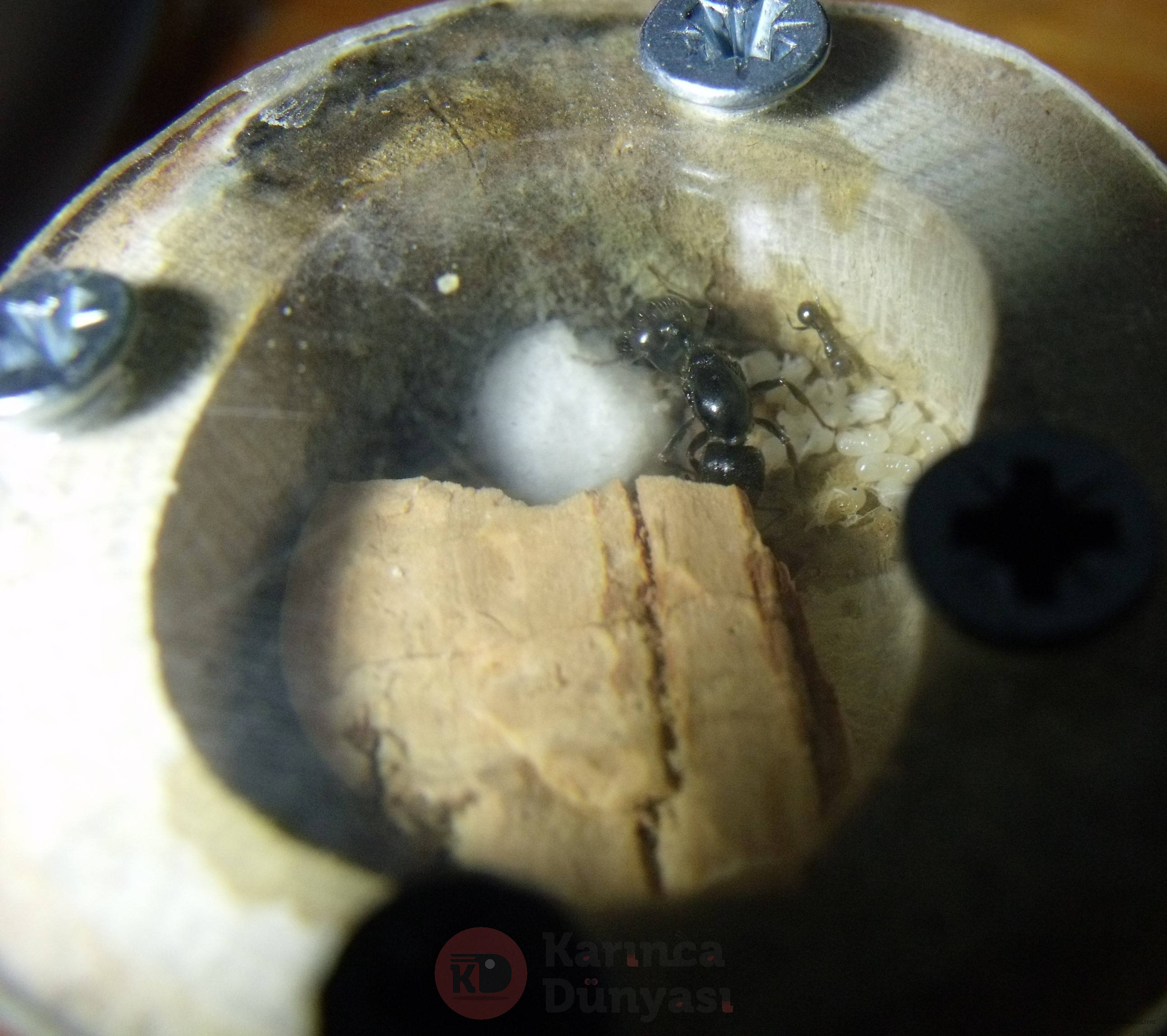 DSCF2518.JPG