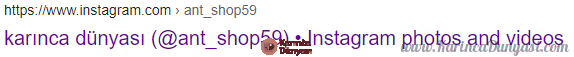 Ekran Alıntısı.PNG