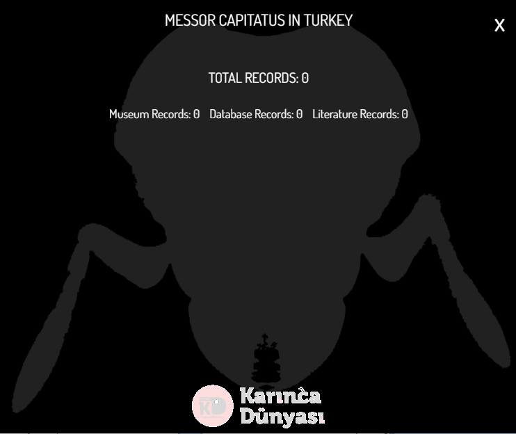 Ekran görüntüsü 2025-02-03 205719.png