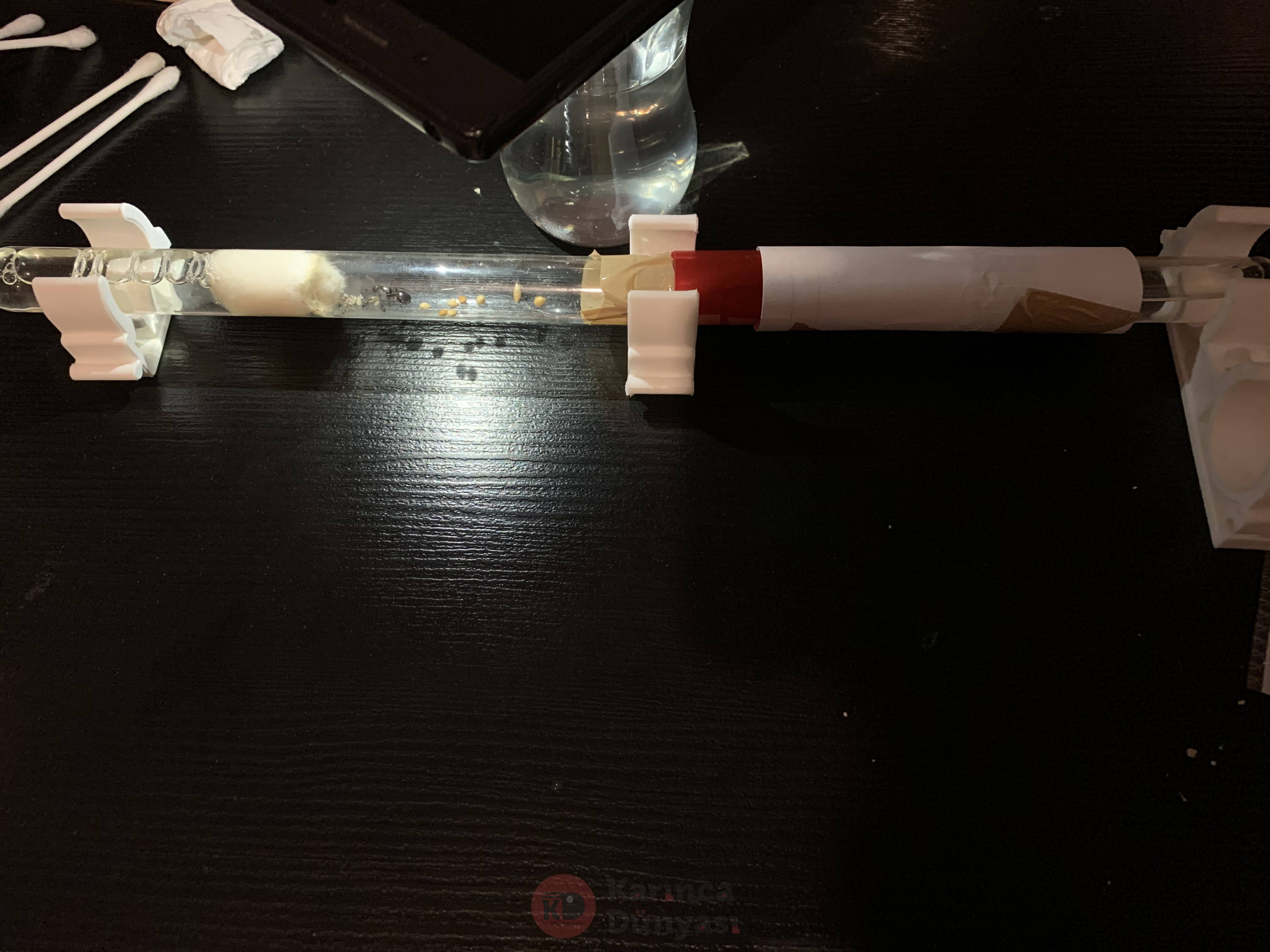 FFDE393A-C522-4AD5-BD4C-47F533F99B5D.jpeg
