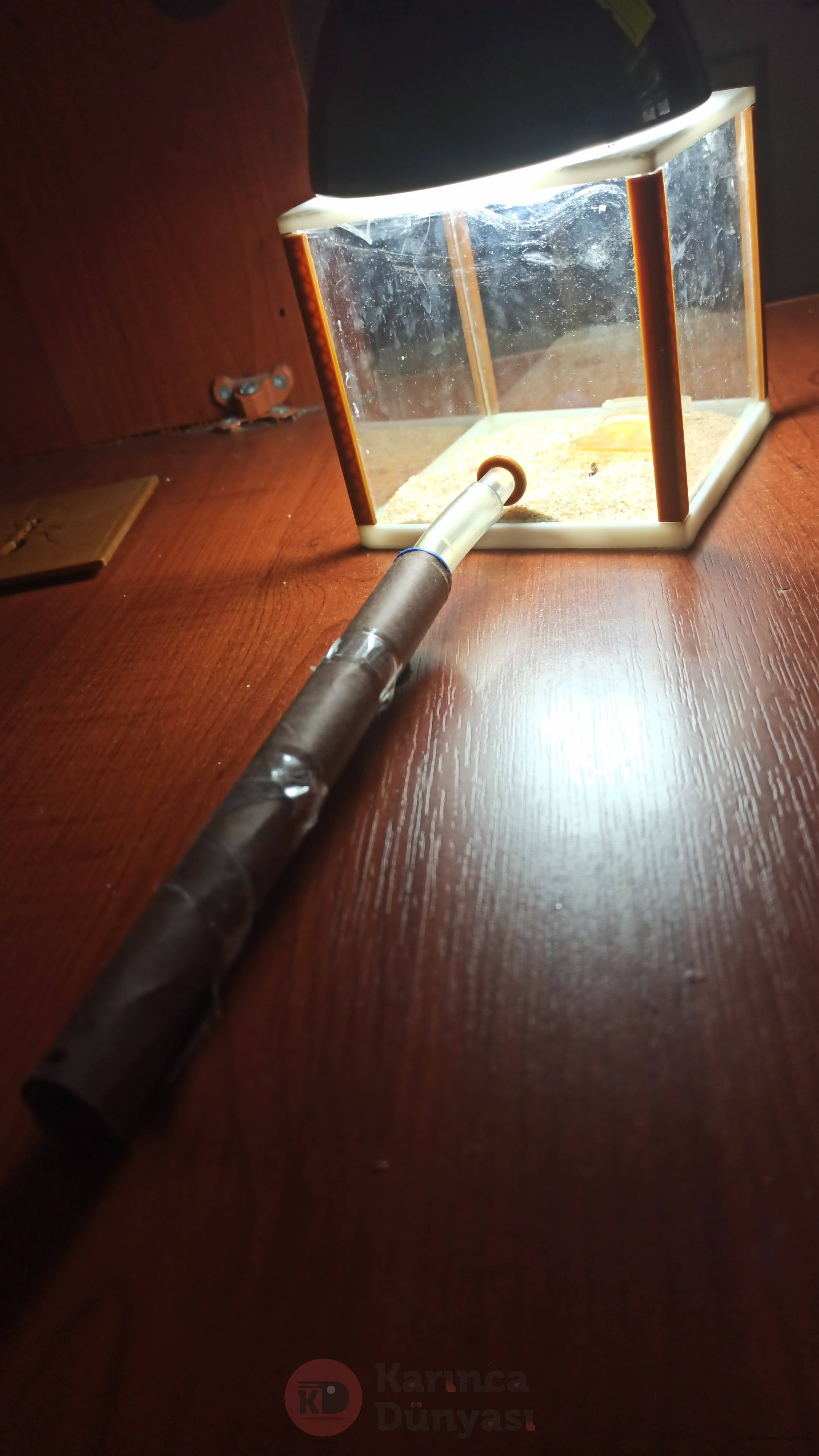IMG-20210616-WA0167.jpeg