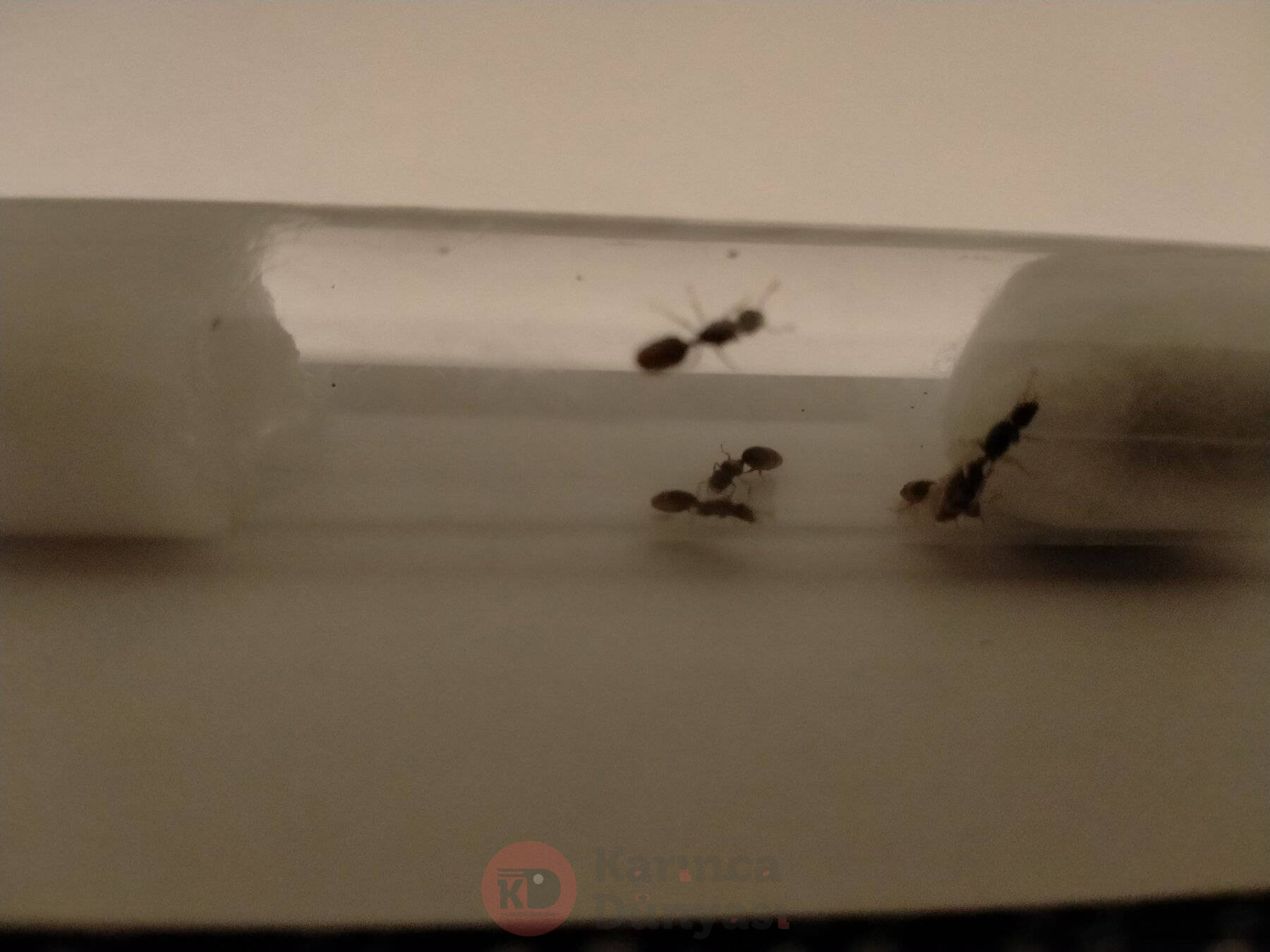 IMG20230702225659.jpg