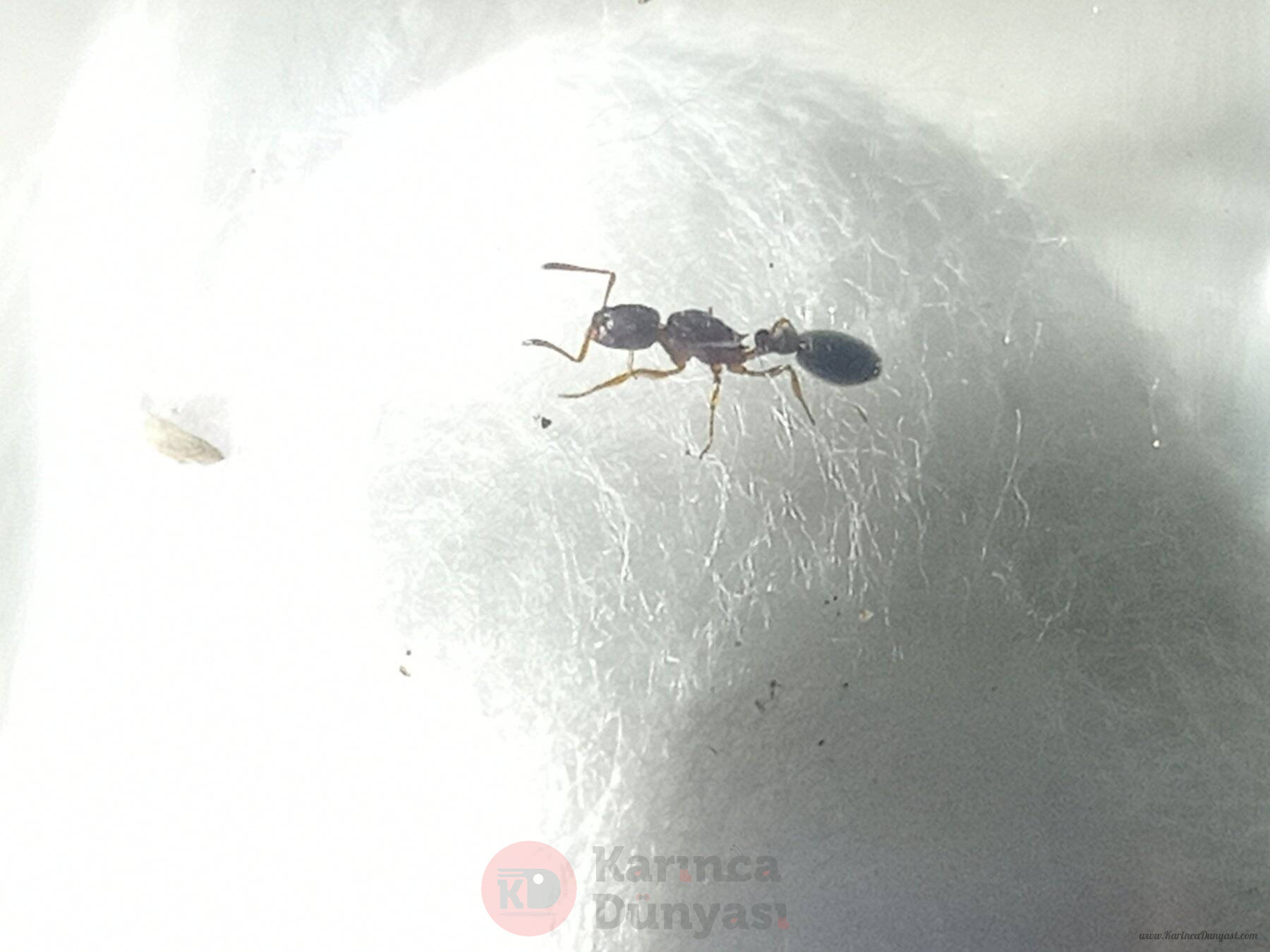 IMG20240603201306.jpg