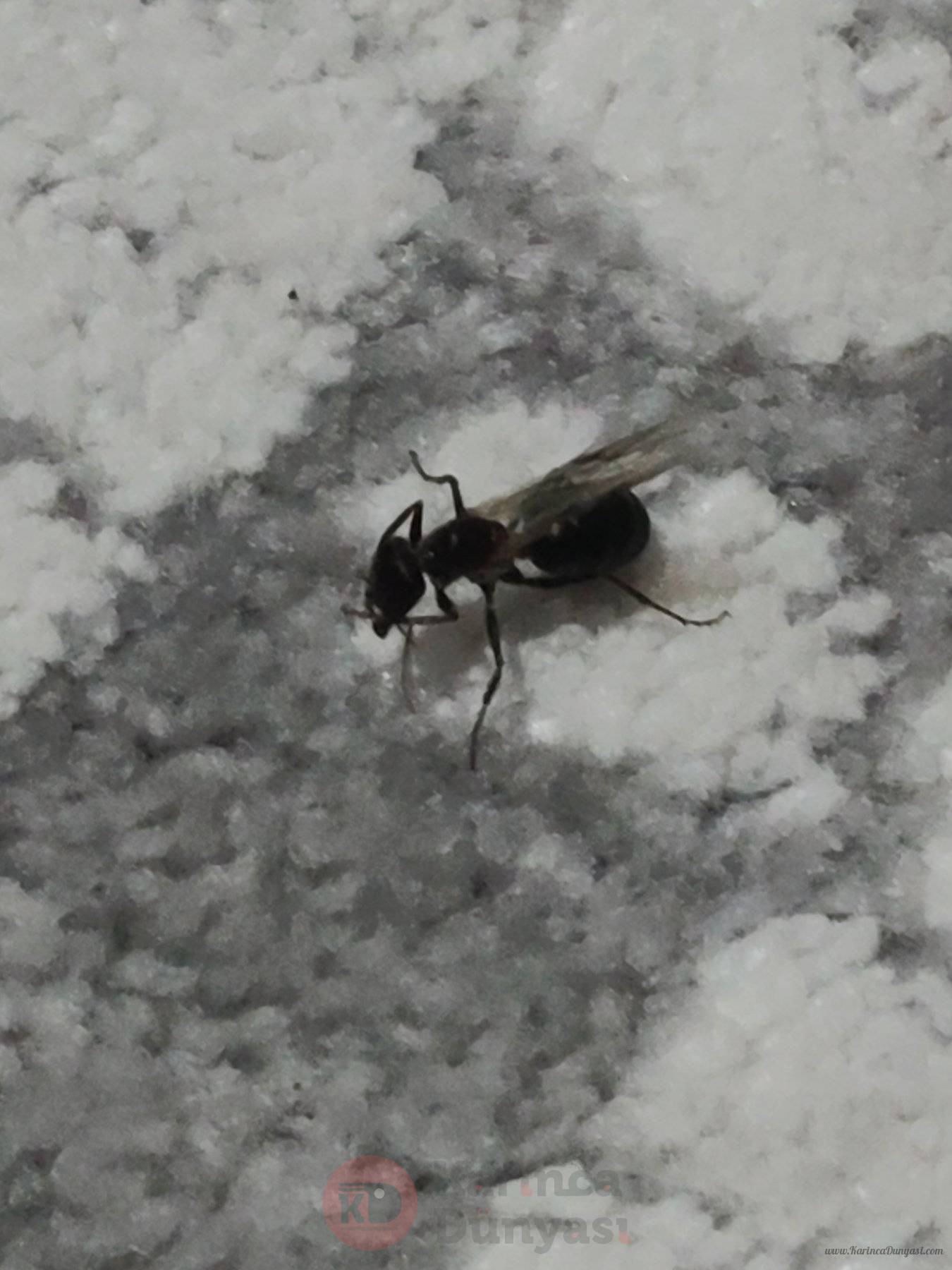 IMG20250617230832.jpg