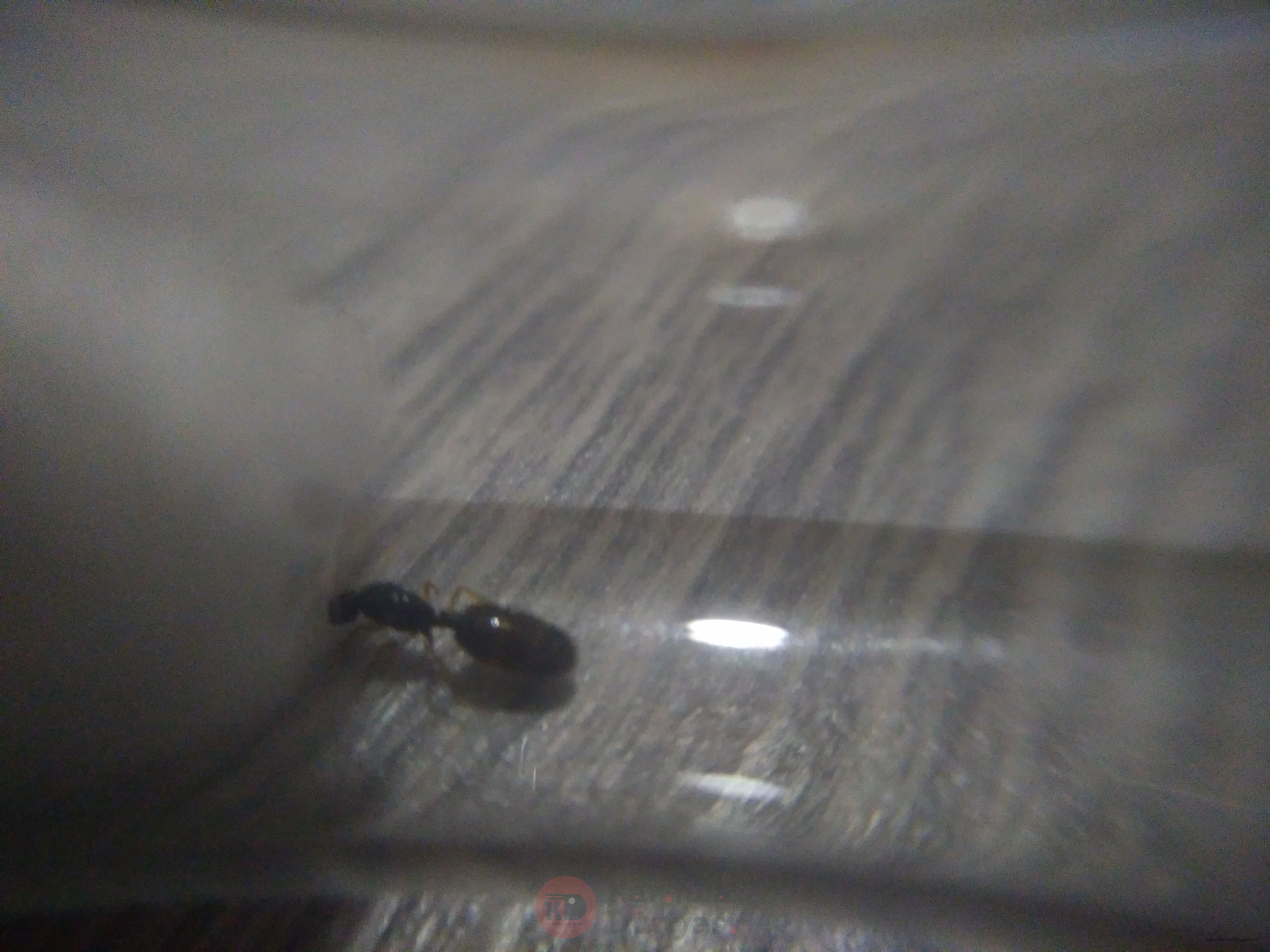 IMG_20201007_182433.jpg
