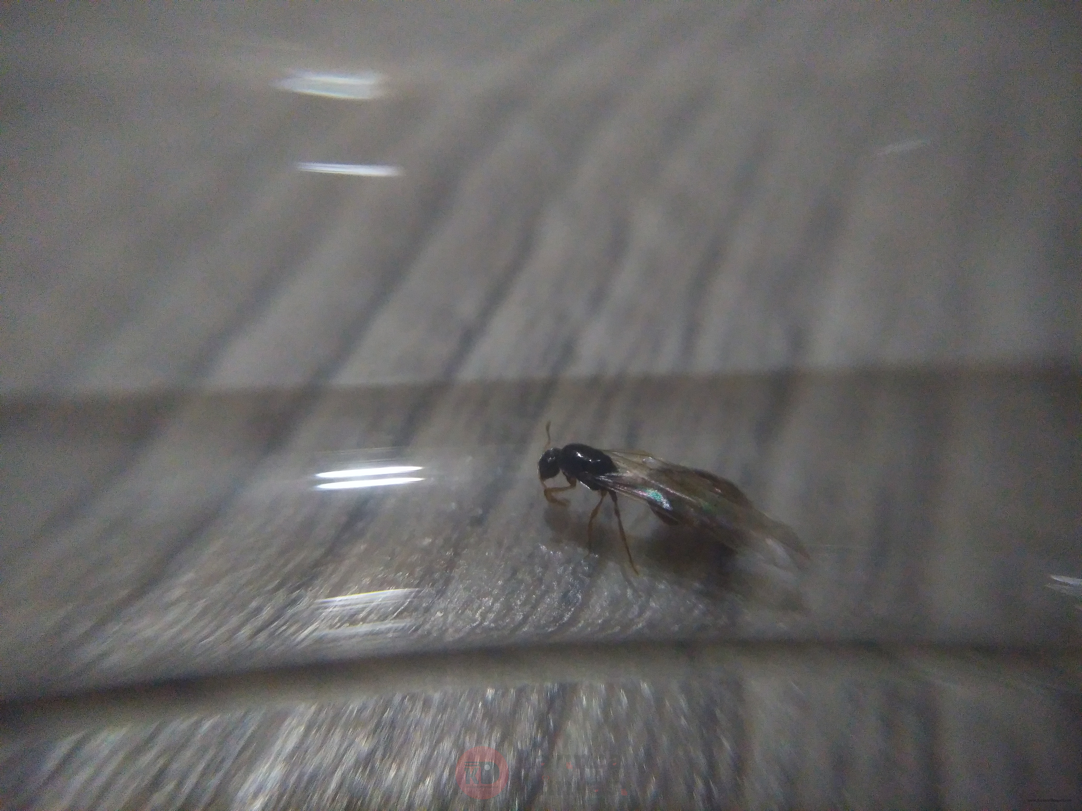 IMG_20201007_182545.jpg