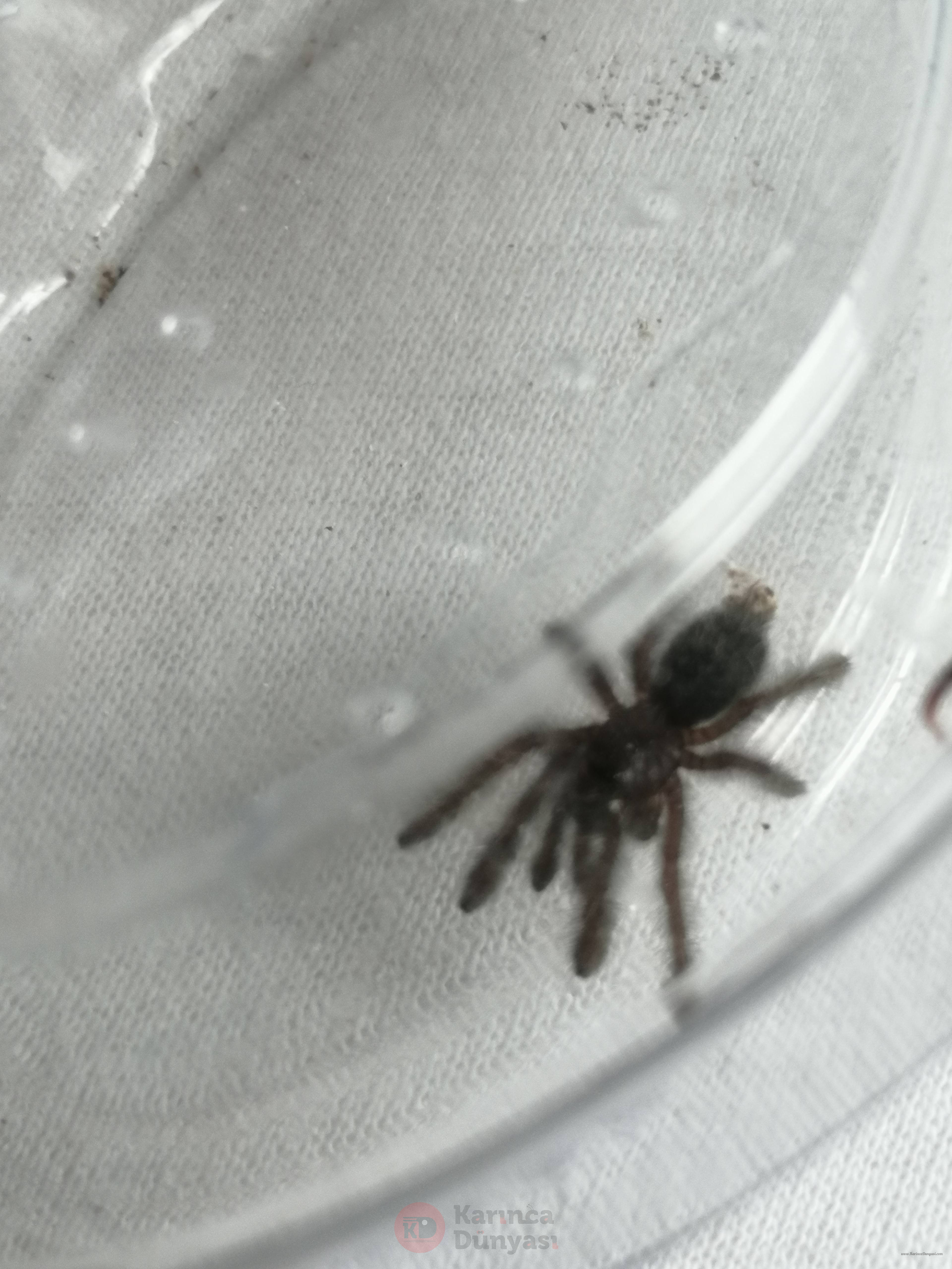 IMG_20210502_184227.jpg