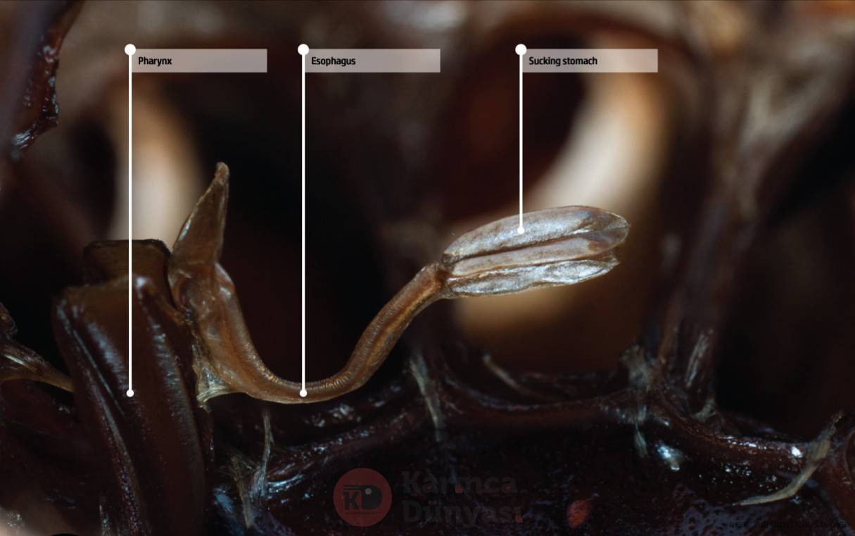 IMG_20220331_213501.jpg