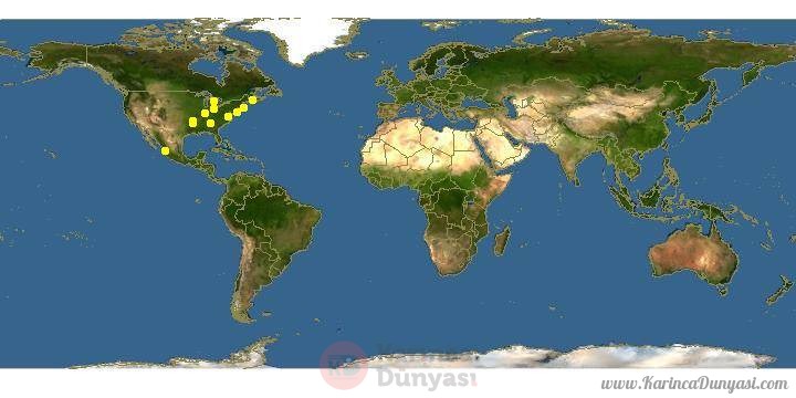 map_of_Aphaenogaster_picea.jpg