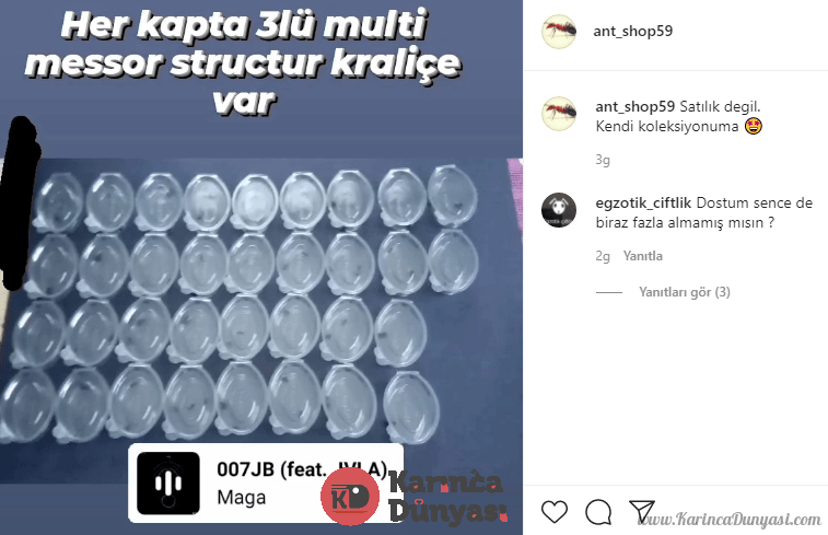 Opera Anlık Görüntü_2021-05-21_211805_www.instagram.com.png