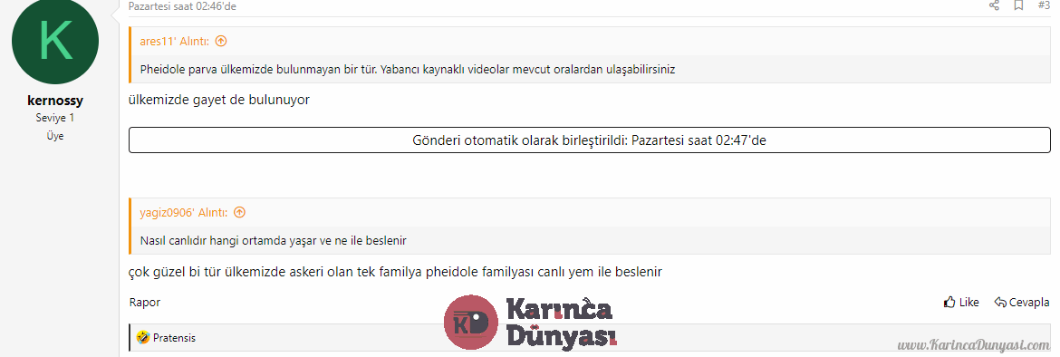 Opera Anlık Görüntü_2022-07-16_050748_www.karincaciftligim.com.png