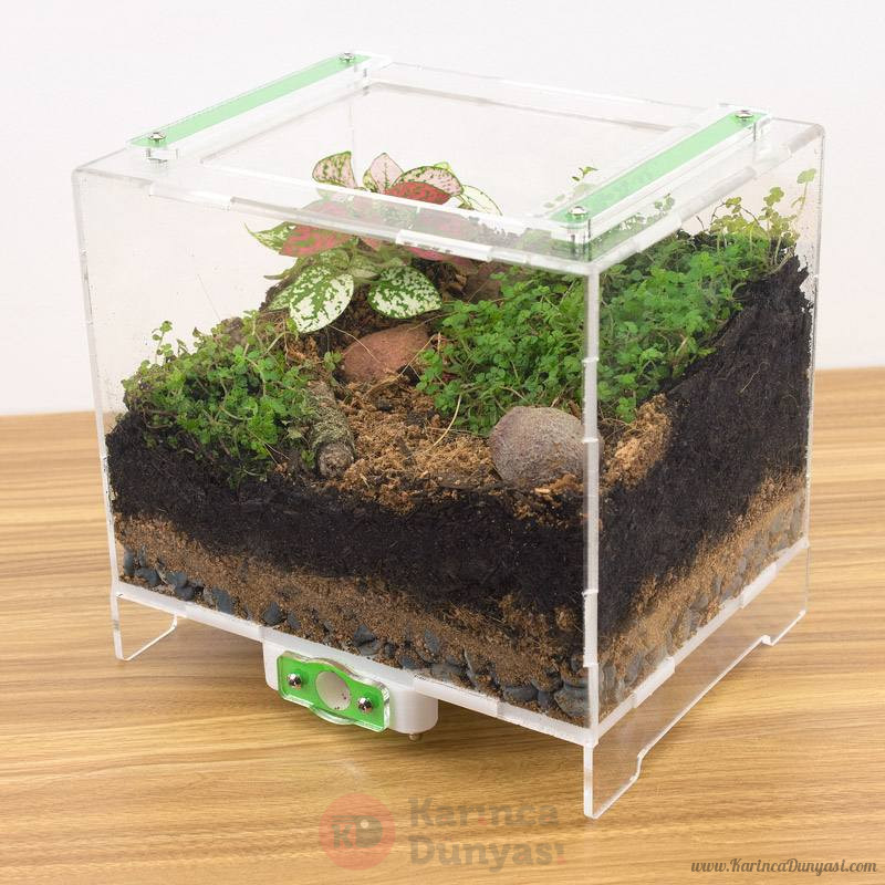outworld-medium-terrarium01.jpg