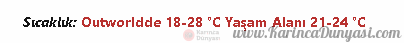 resim_2022-01-16_091806.png
