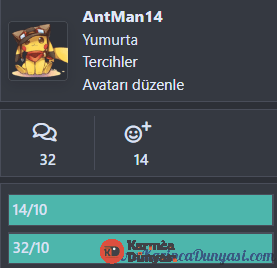 resim_2024-07-17_153357952.png
