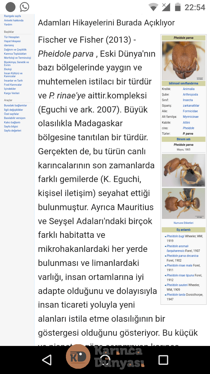 Screenshot_20200727-225501.png