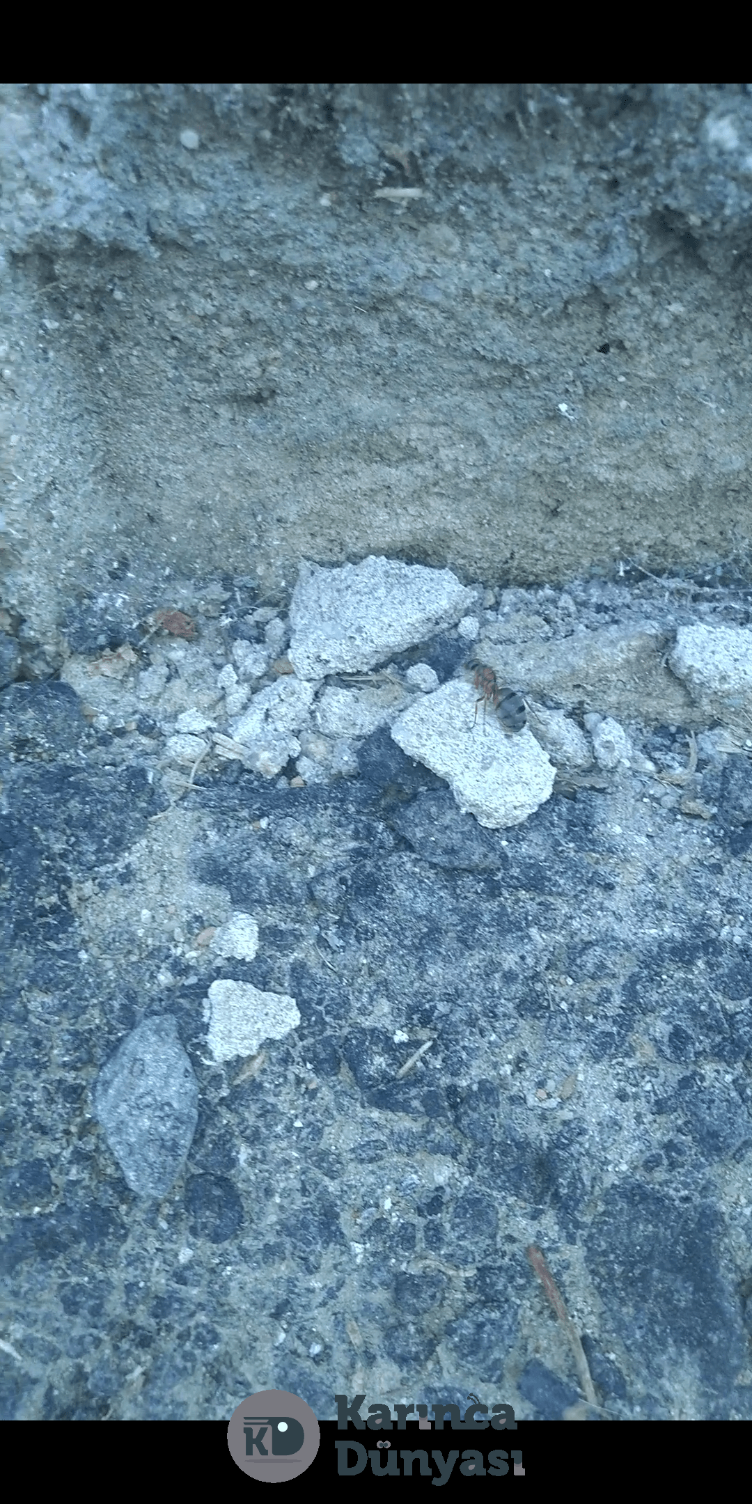 Screenshot_20210610-155514.png