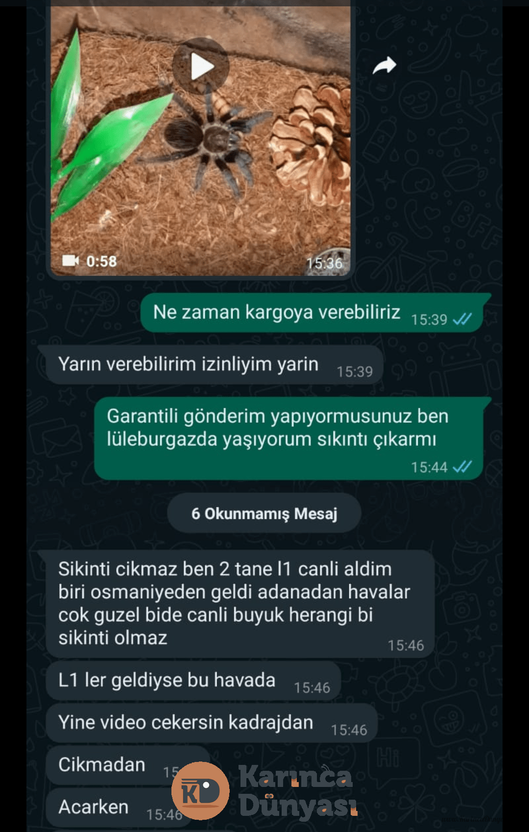Screenshot_20230520-210004~2.png
