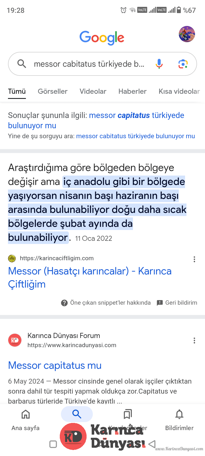 Screenshot_20250203-192804.png