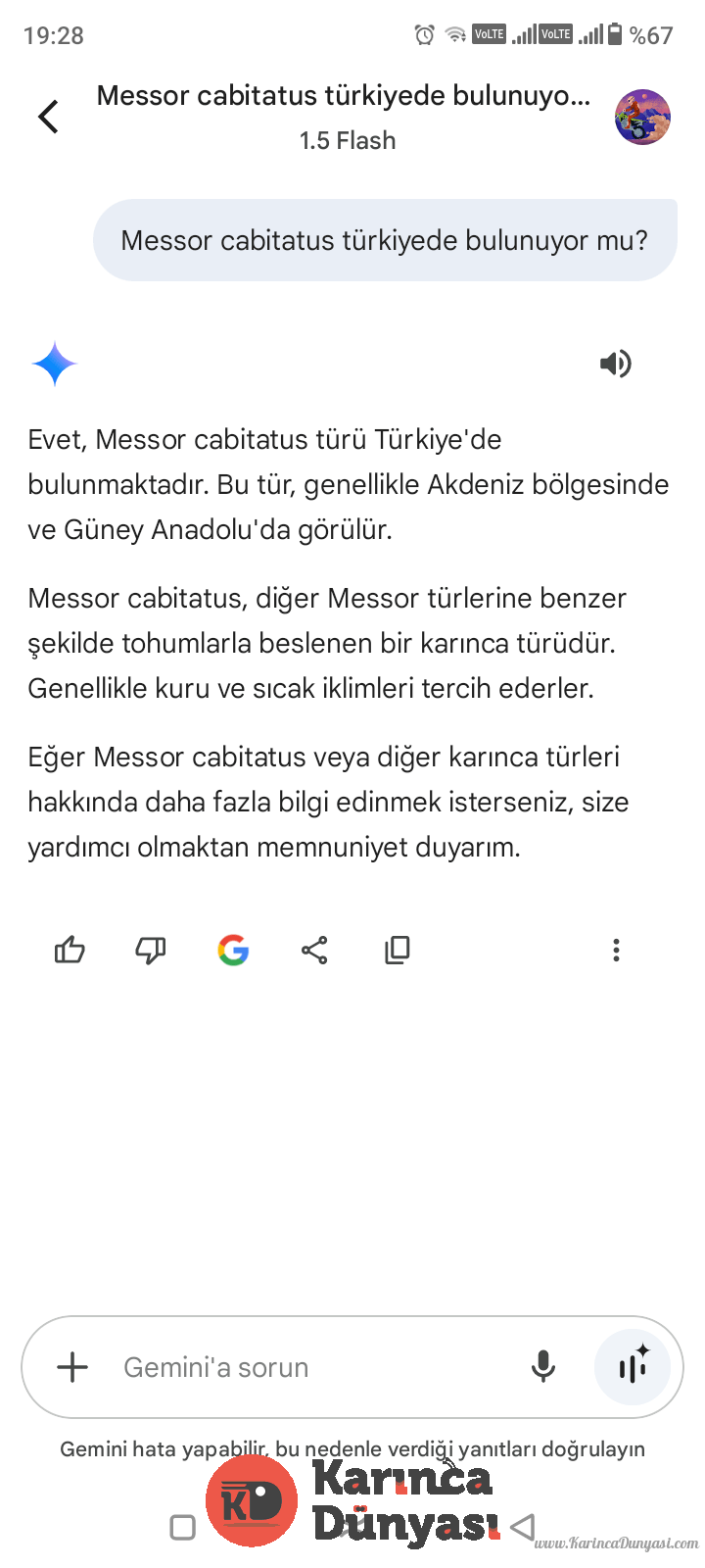 Screenshot_20250203-192838.png